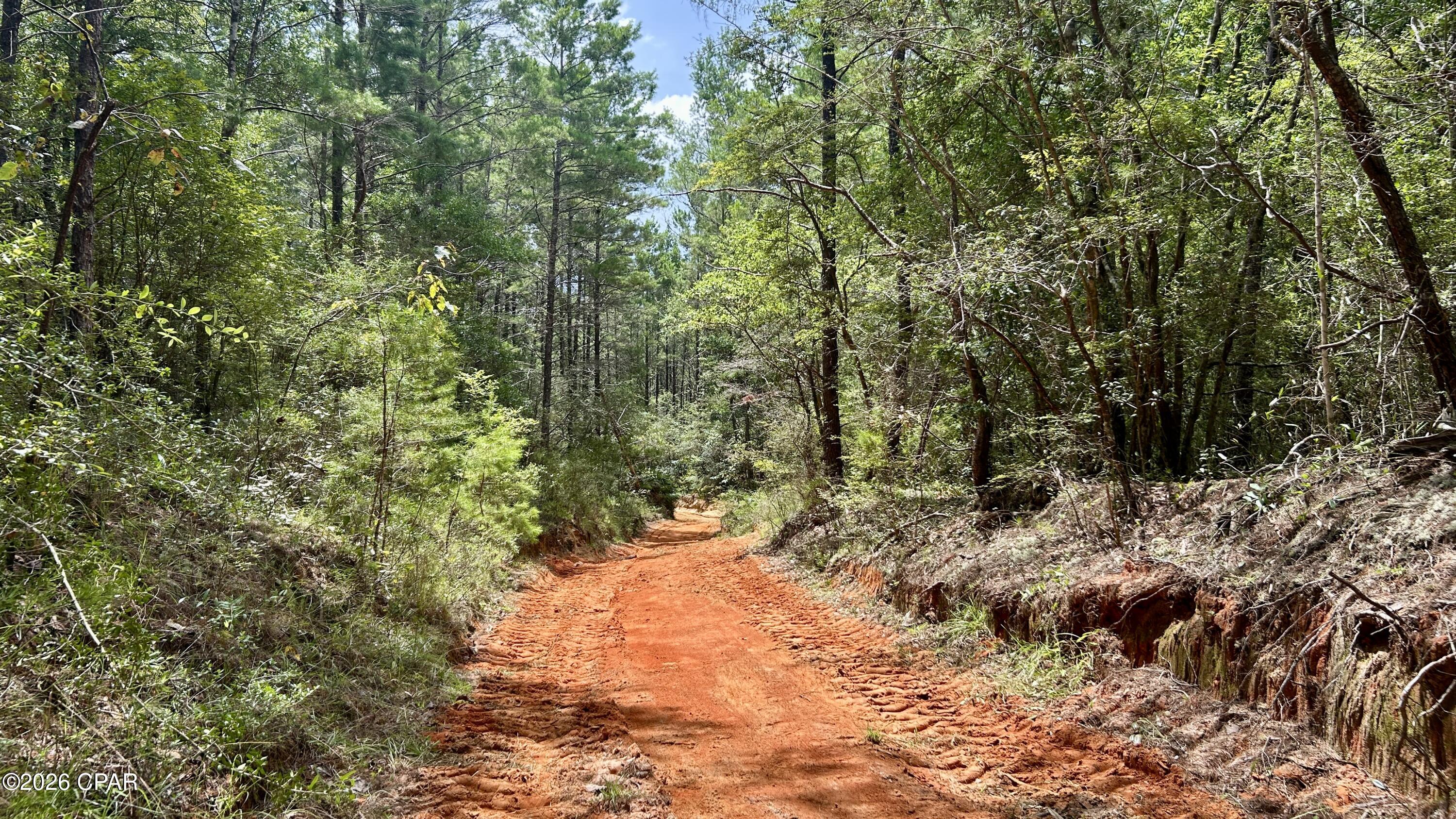 B Trawick Creek Road Holt FL 32564