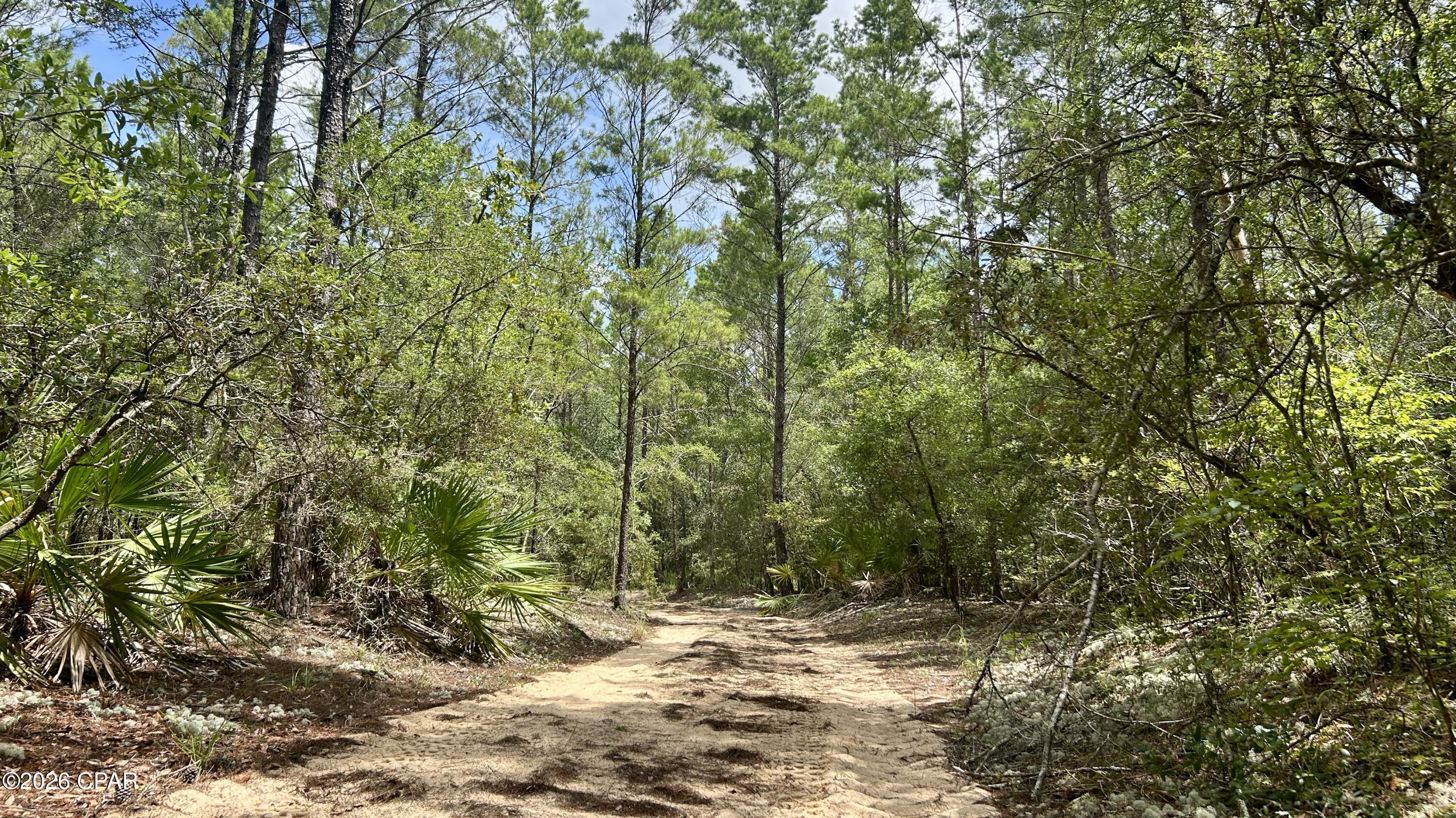 B Trawick Creek Road Holt FL 32564