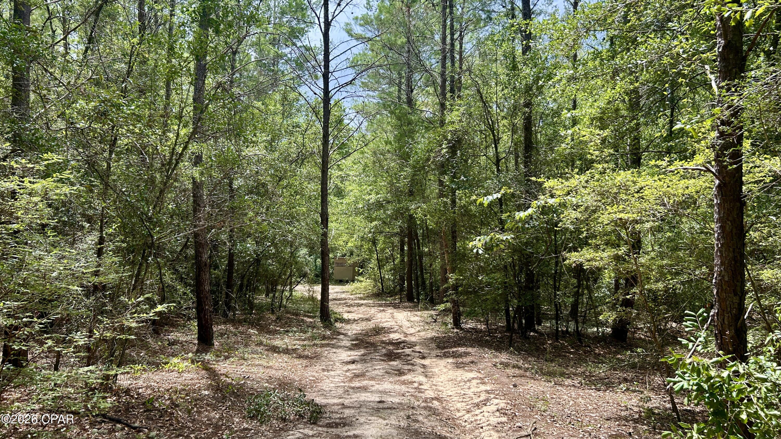 B Trawick Creek Road Holt FL 32564