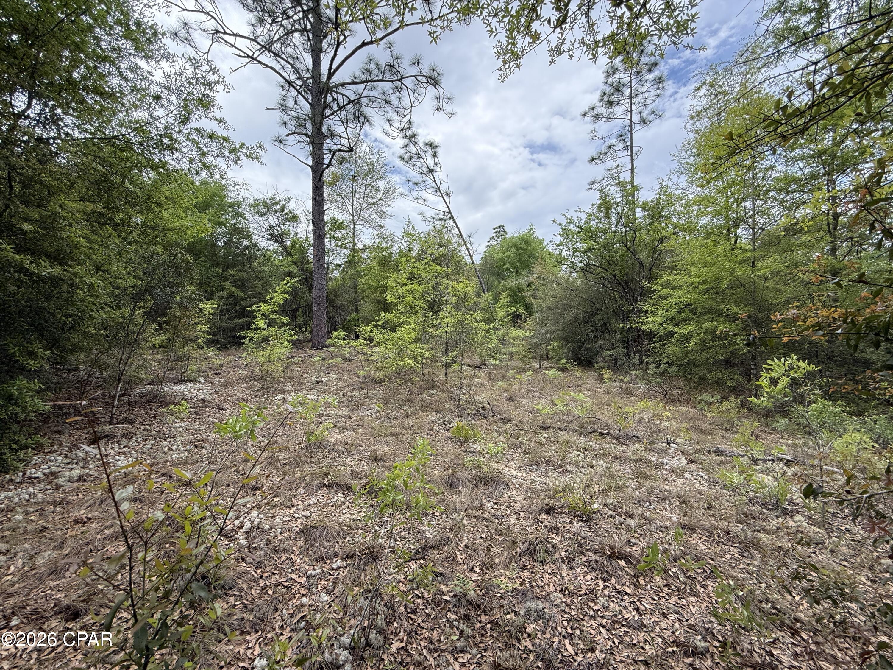 19678 Walsh Road Fountain FL 32438