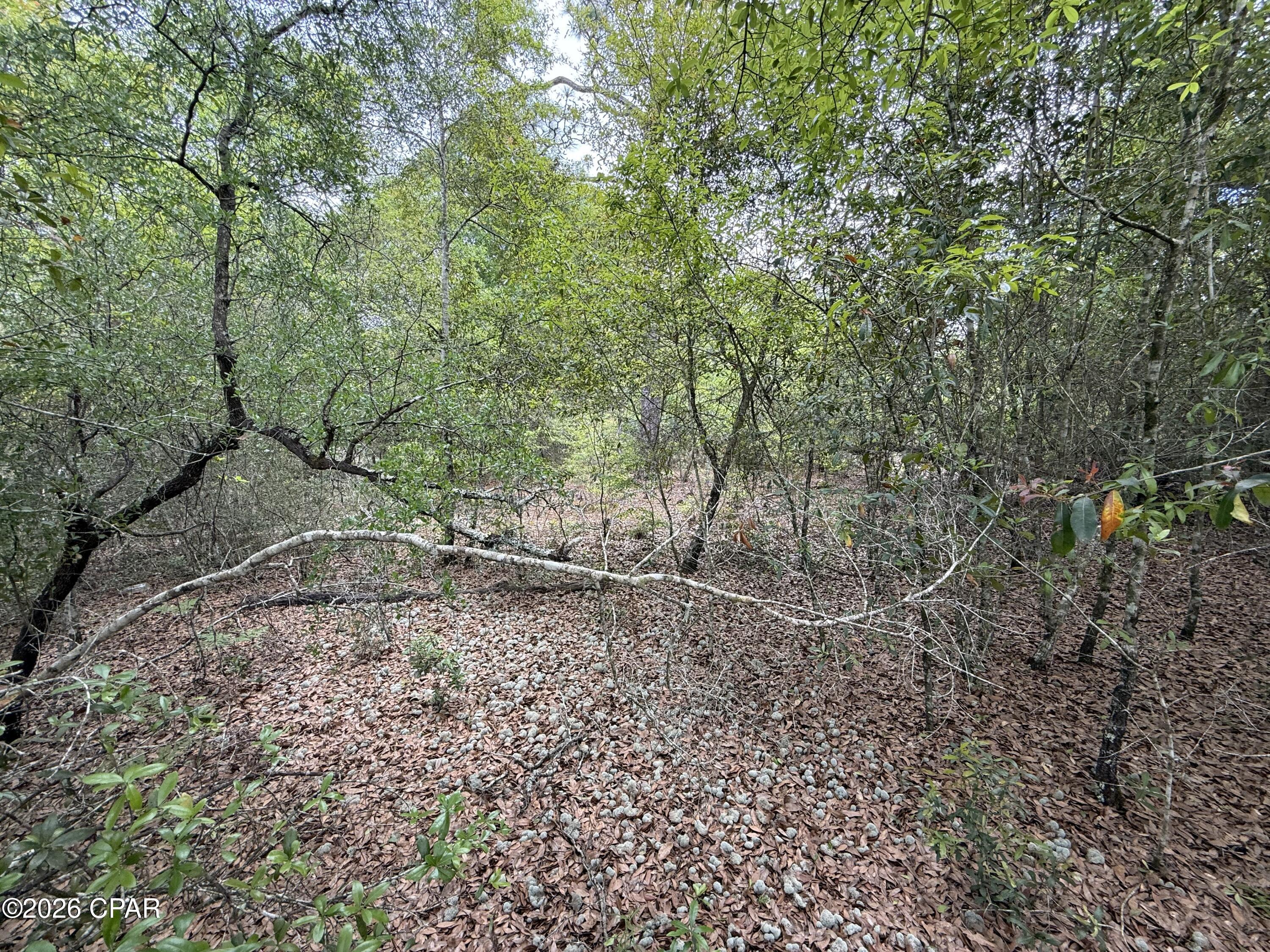 19678 Walsh Road Fountain FL 32438