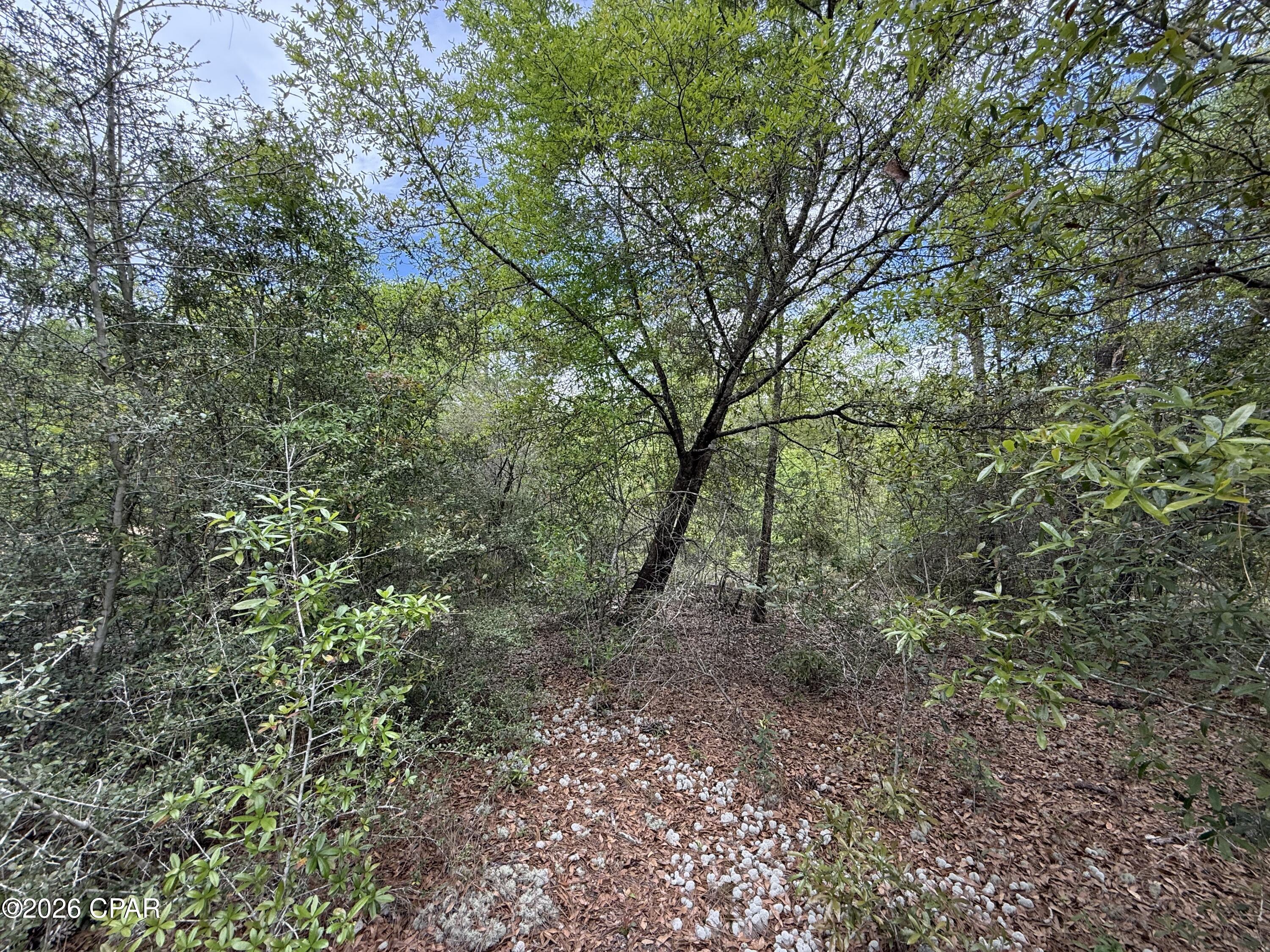 19678 Walsh Road Fountain FL 32438