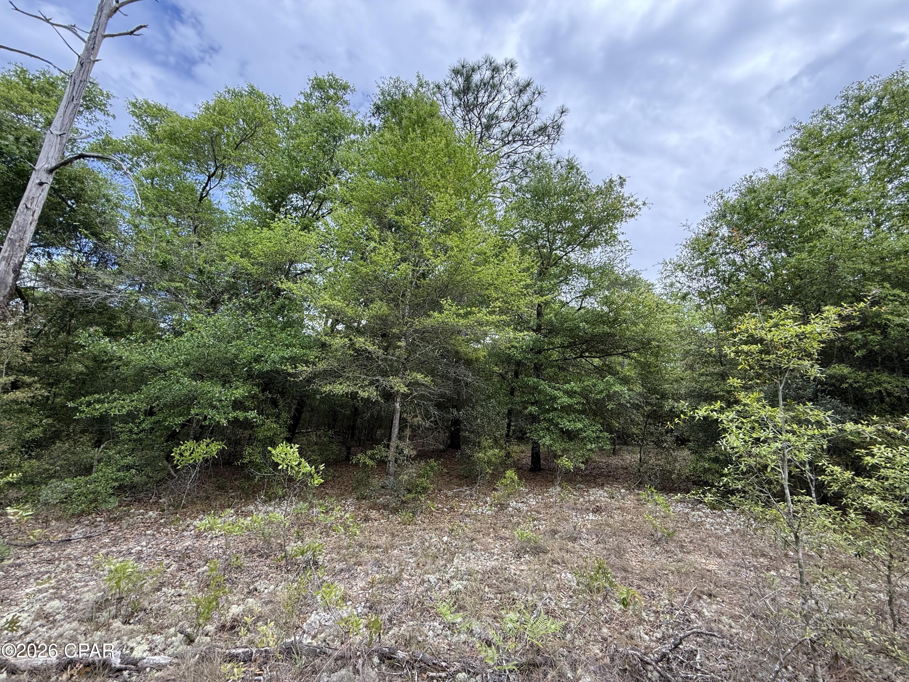 19678 Walsh Road Fountain FL 32438
