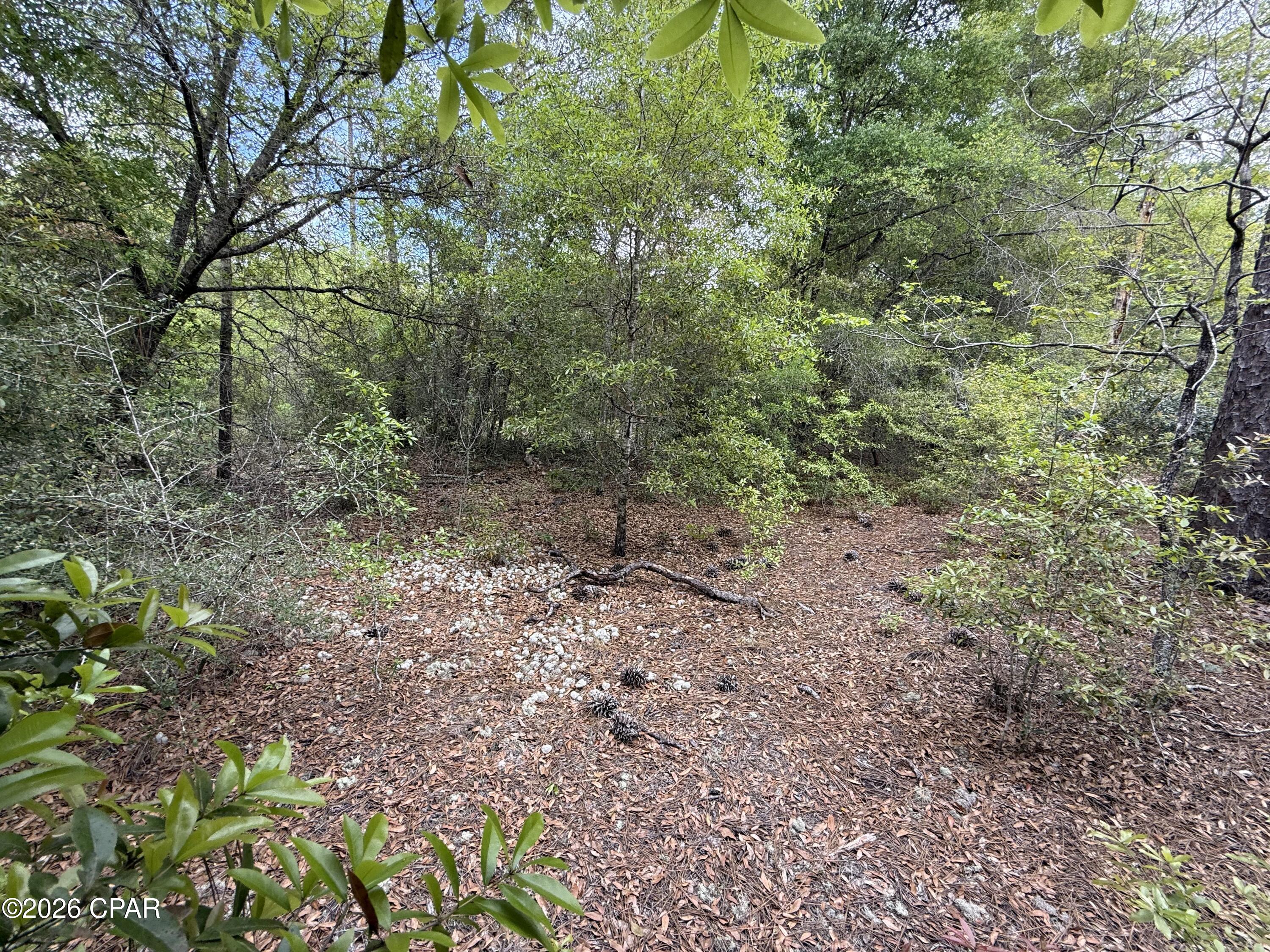 19678 Walsh Road Fountain FL 32438