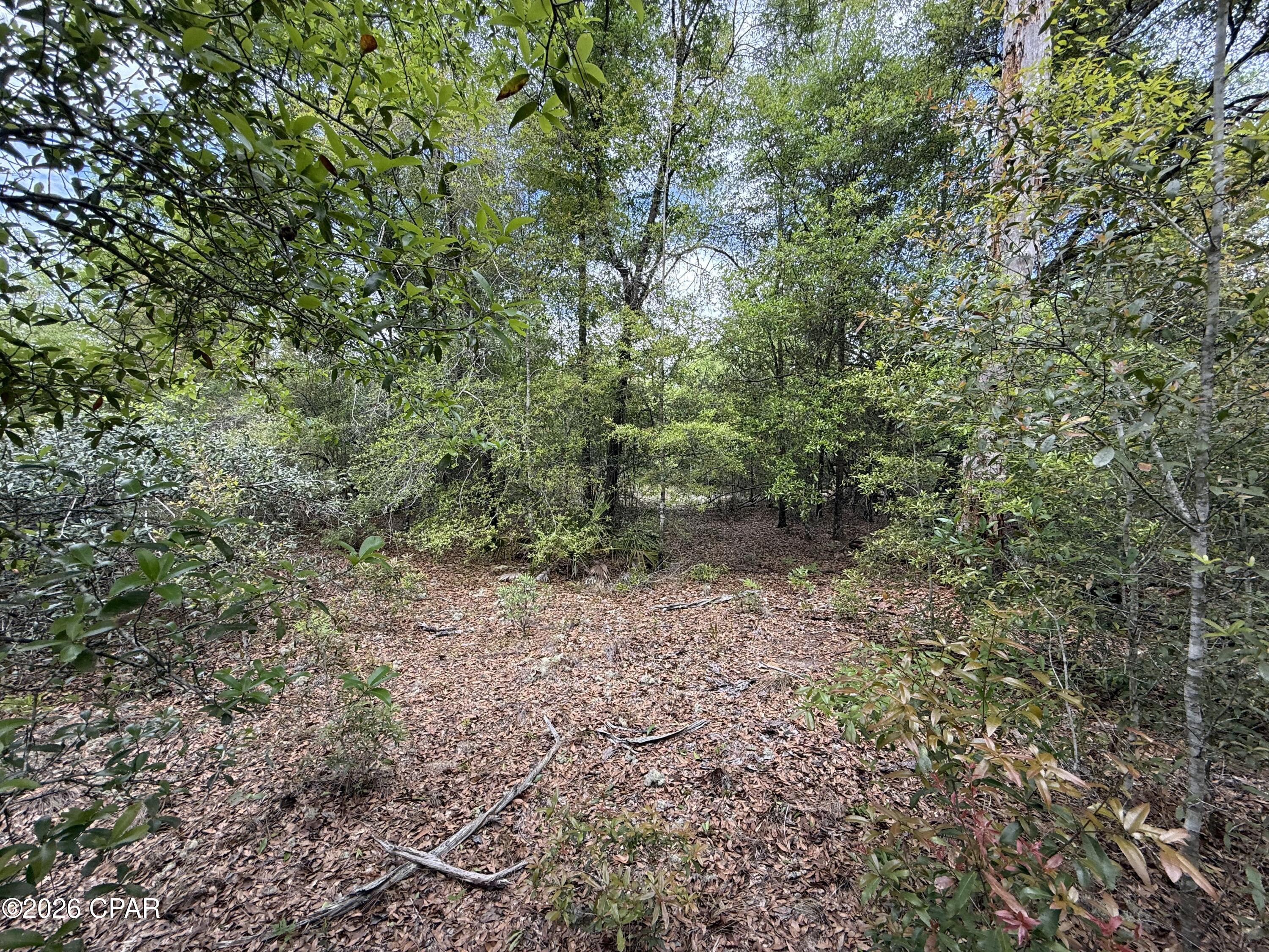 19678 Walsh Road Fountain FL 32438