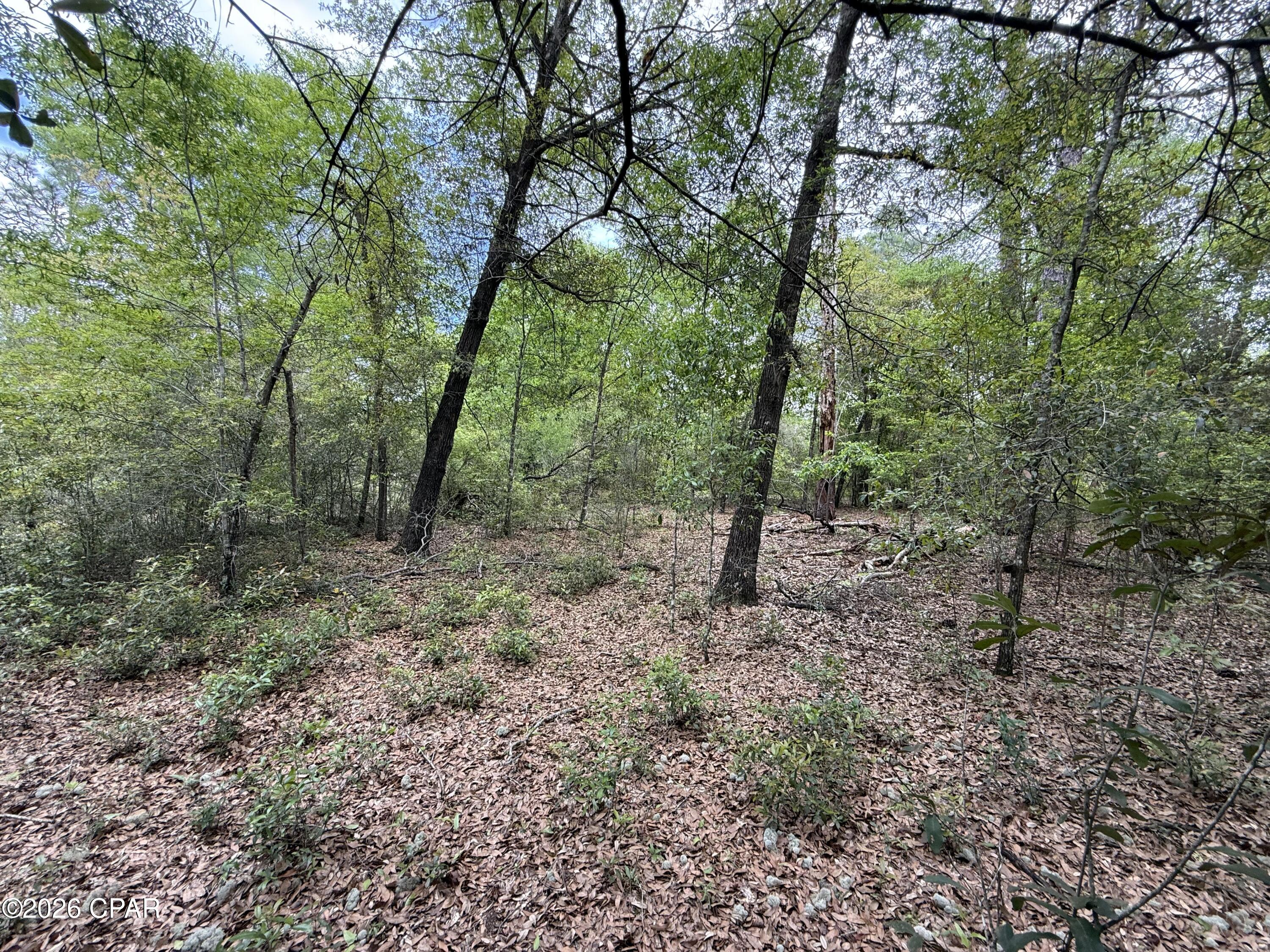 19678 Walsh Road Fountain FL 32438