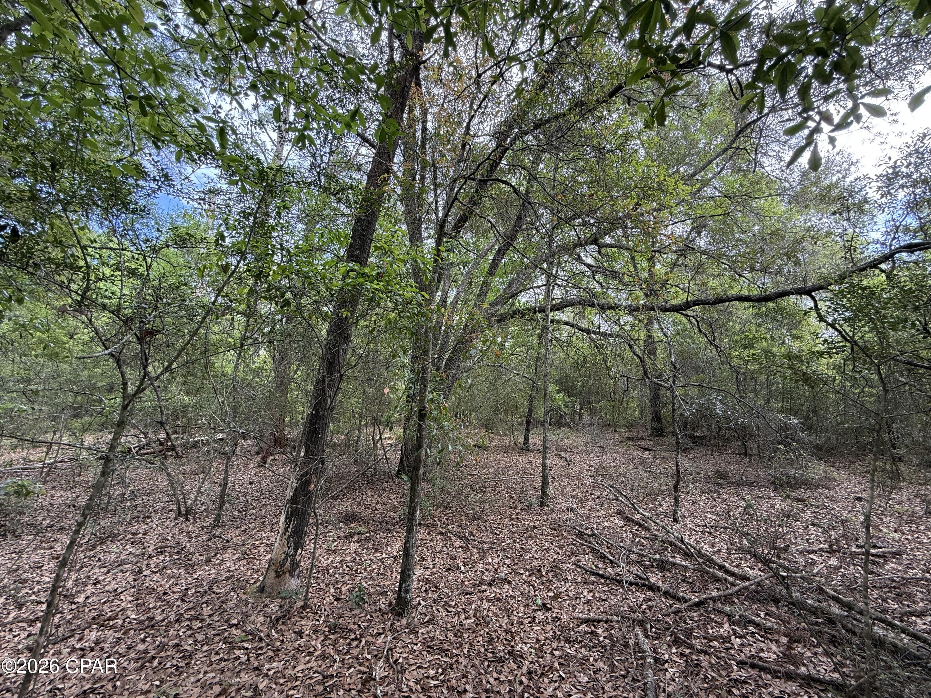 19678 Walsh Road Fountain FL 32438