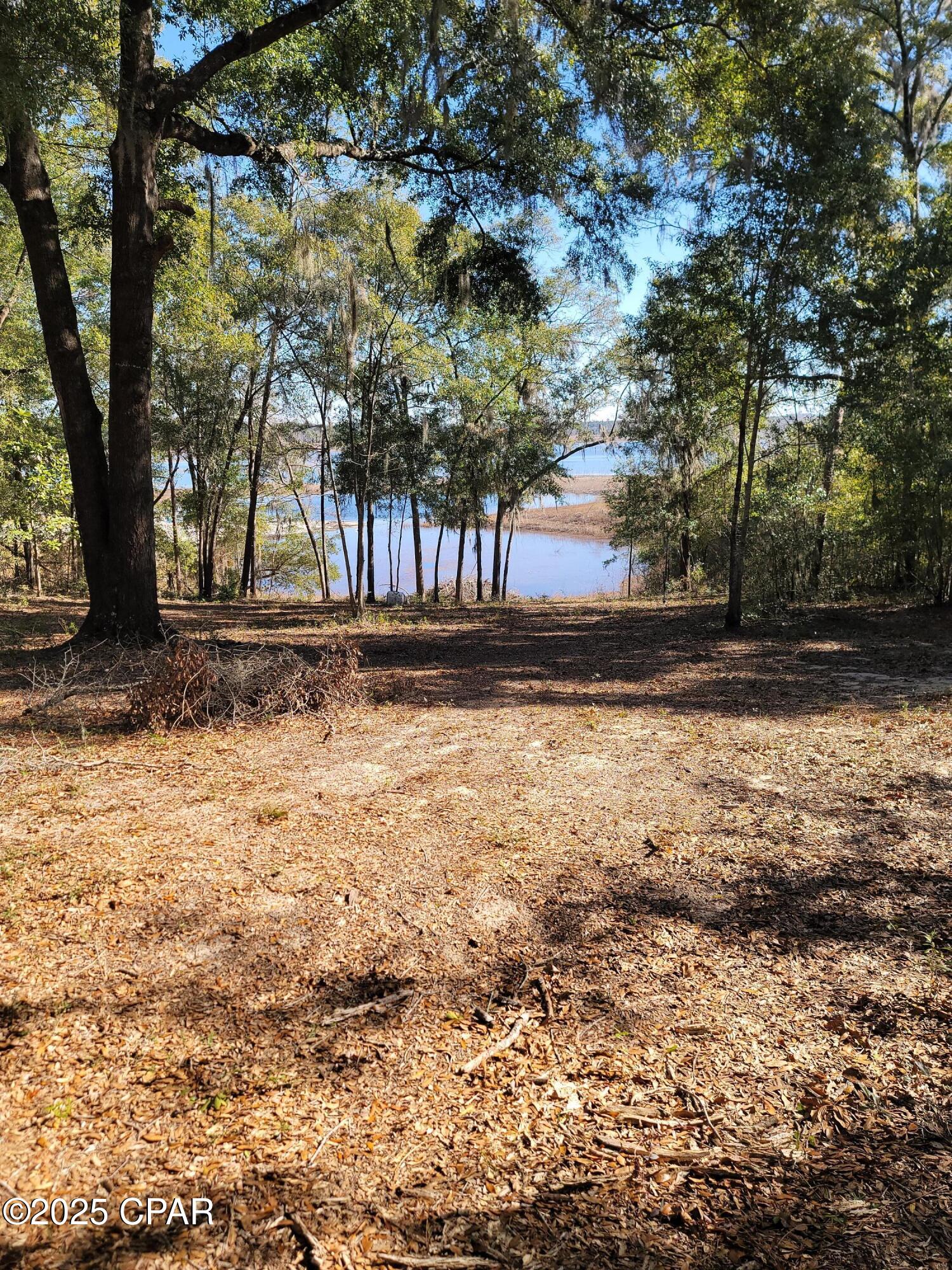 Lot 19 Hicks Lake Lane Vernon FL 32462