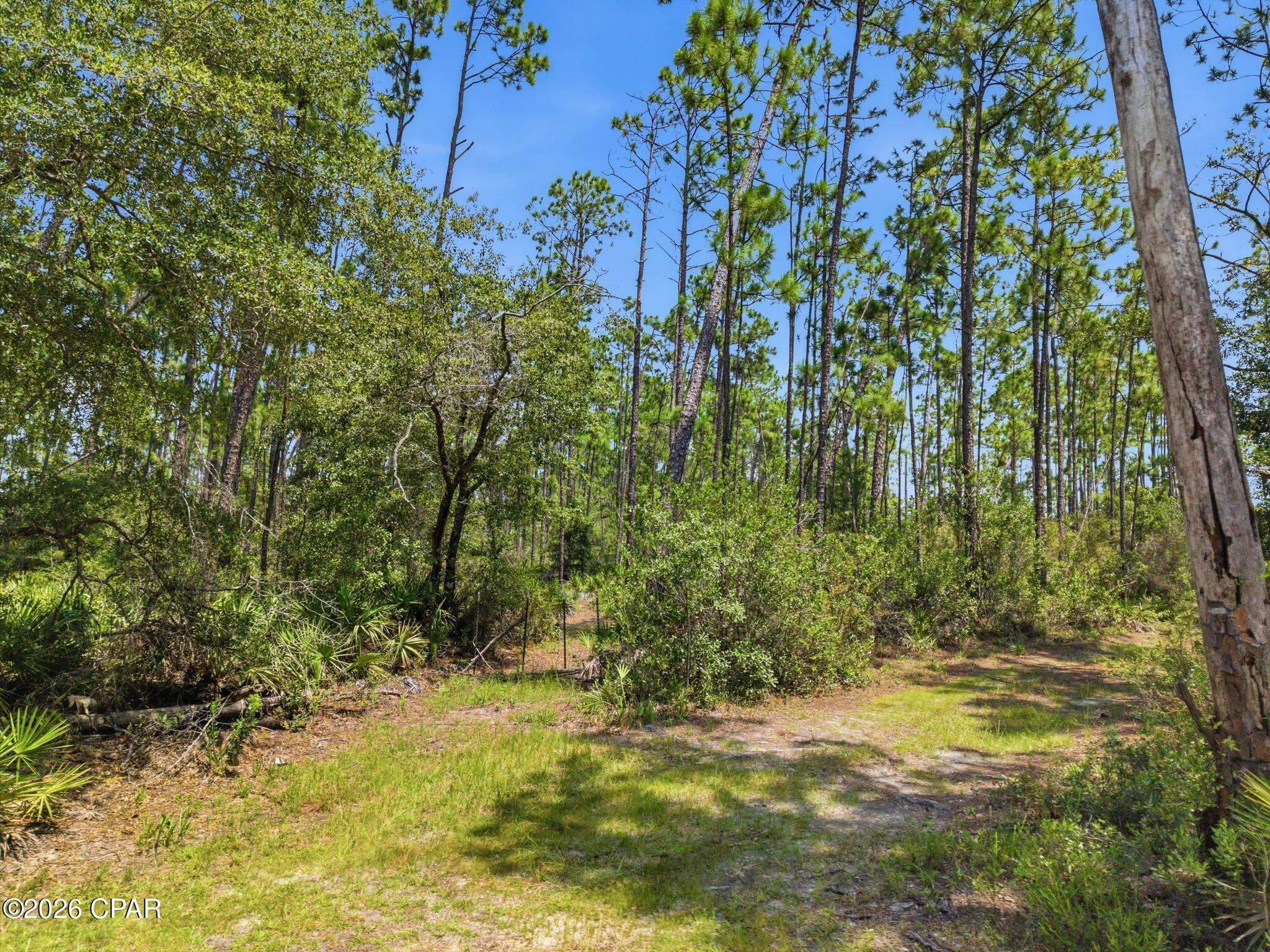 10952 Alex Drive Fountain FL 32438