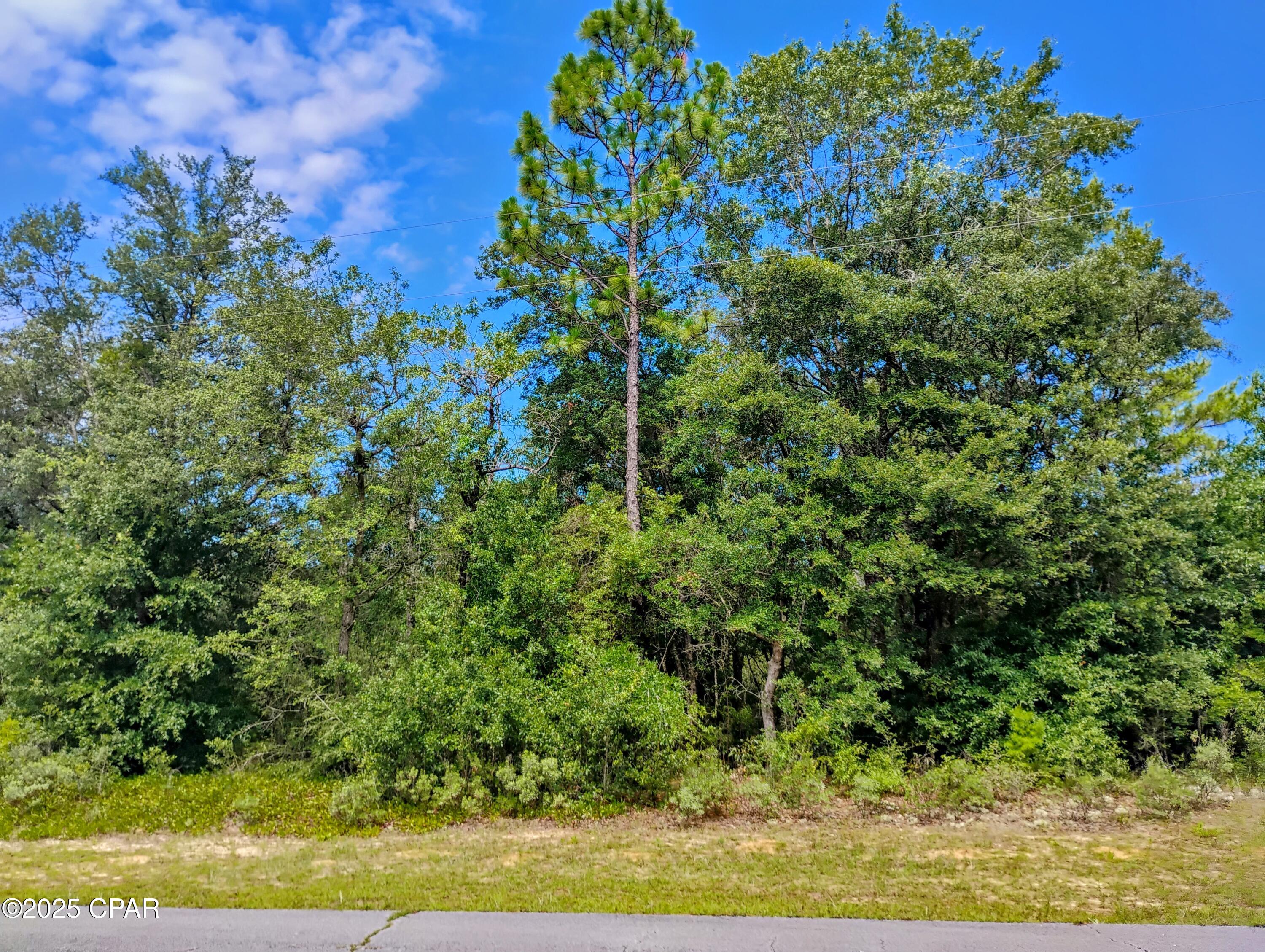 Lot 10 Challenger Boulevard Chipley FL 32428
