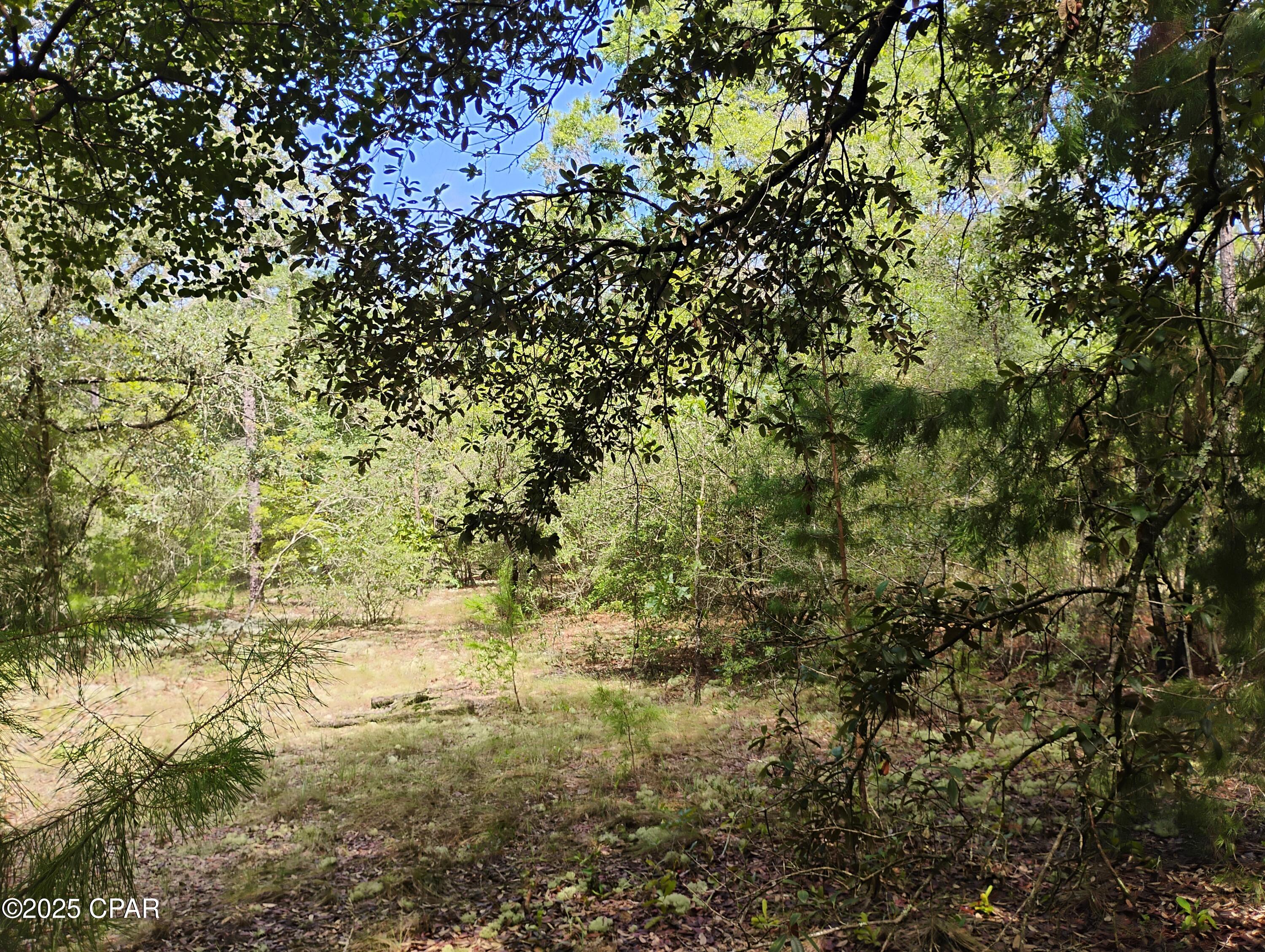 Lot 10 Challenger Boulevard Chipley FL 32428