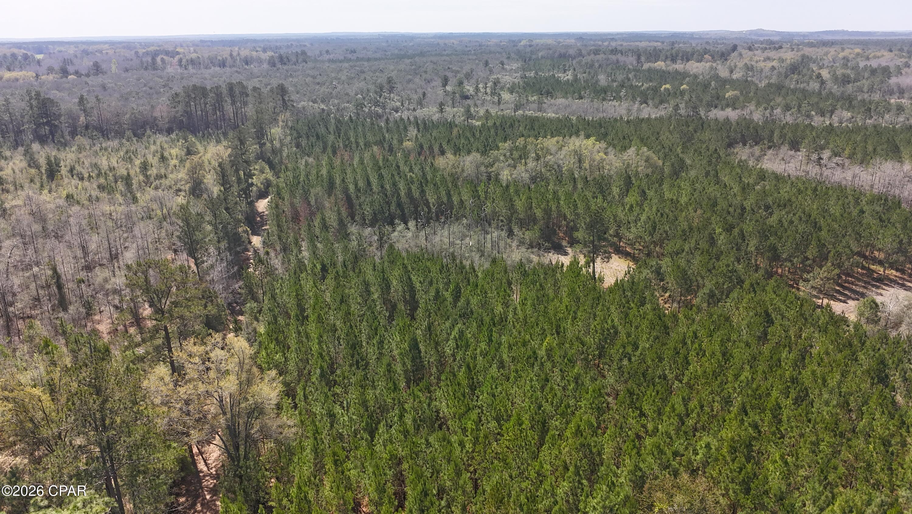 TRACT#6416 Brock Road Caryville FL 32427