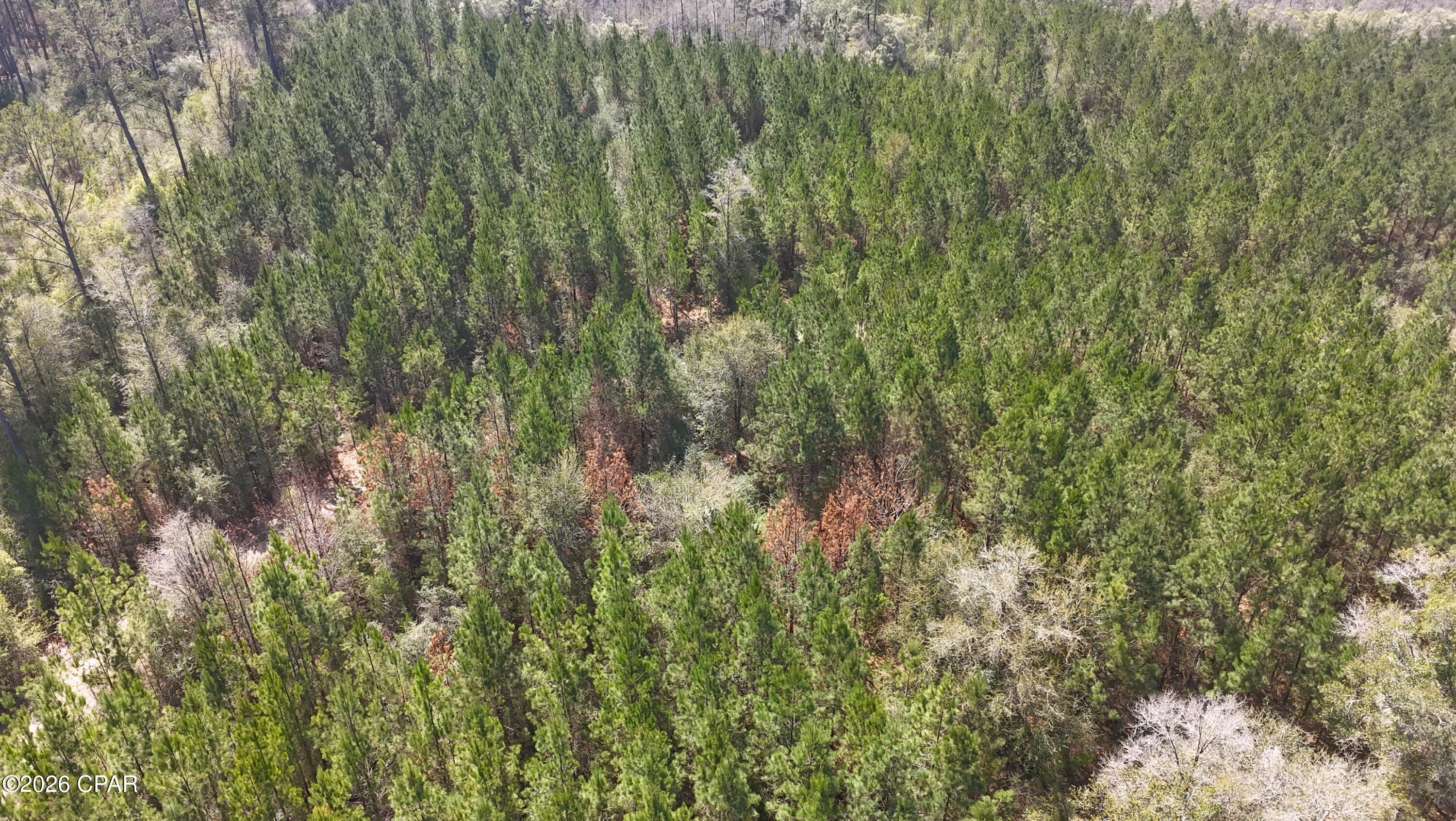 TRACT#6416 Brock Road Caryville FL 32427