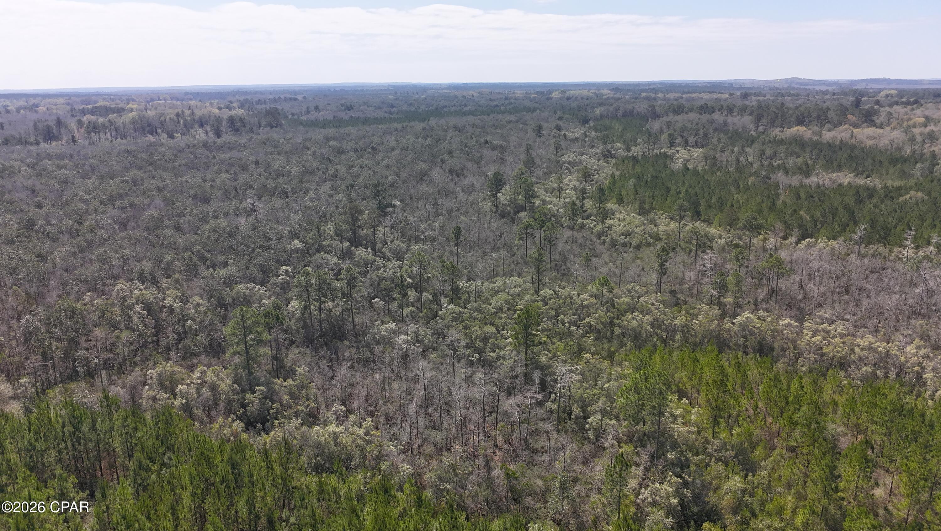 TRACT#6416 Brock Road Caryville FL 32427