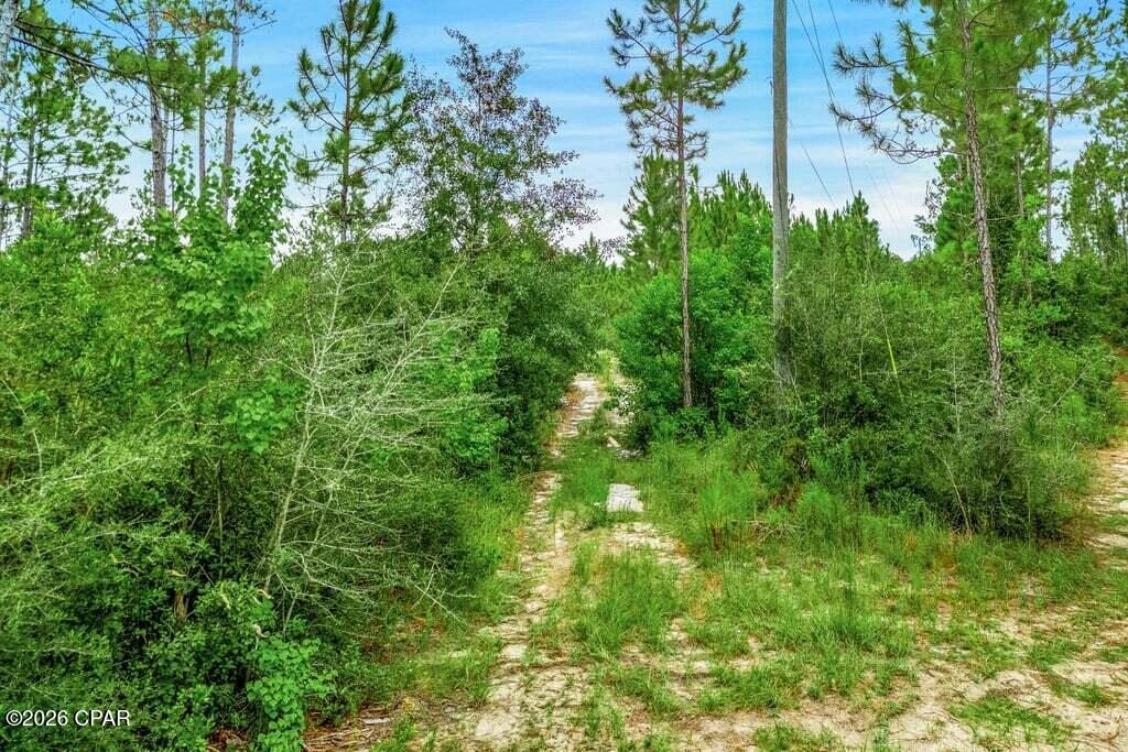 17012 Aawsaw Lane Fountain FL 32438