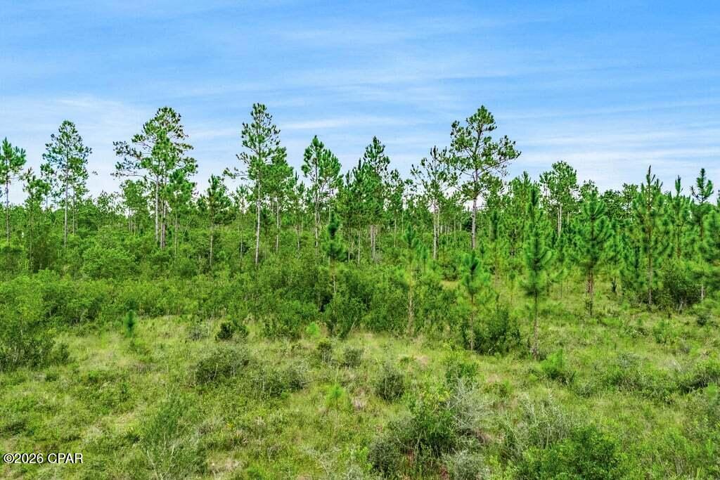 17012 Aawsaw Lane Fountain FL 32438