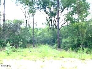 0 Summer Street Marianna FL 32448