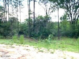 0 Summer Street Marianna FL 32448