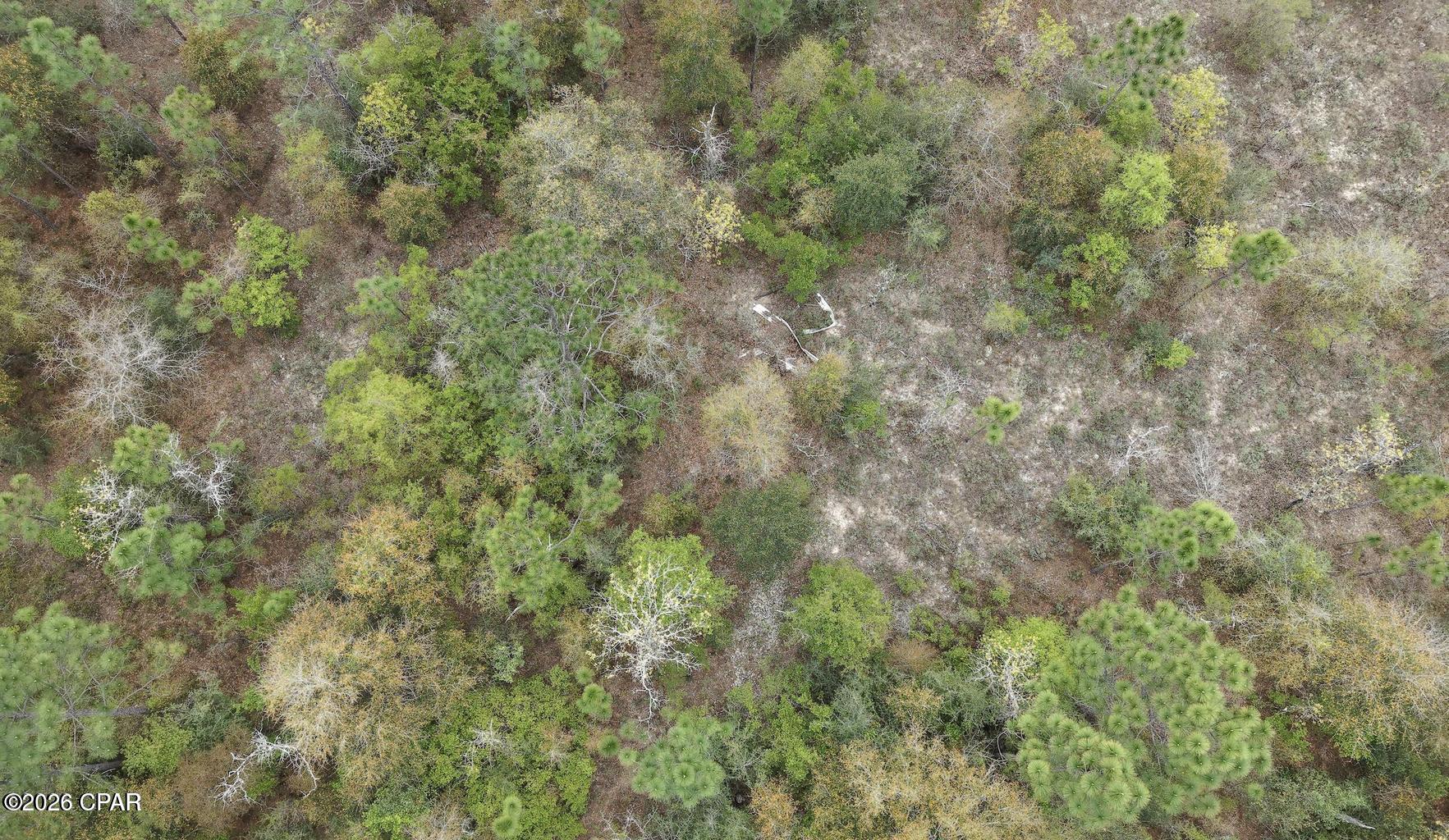 Lot 4 Shelby Court Chipley FL 32428