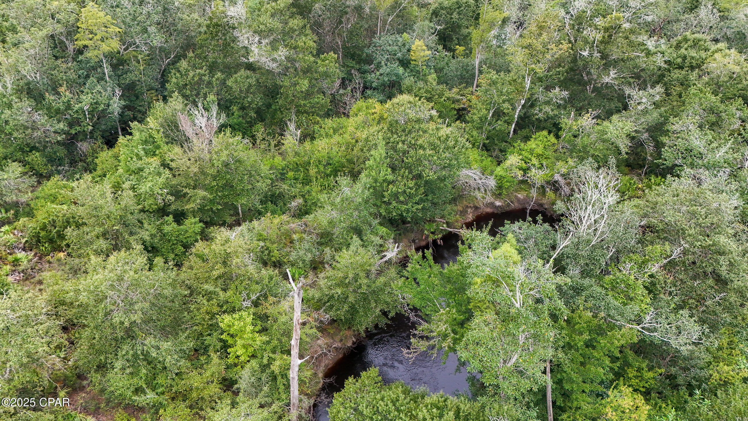 0 Jarrott Daniels Road Wewahitchka FL 32465