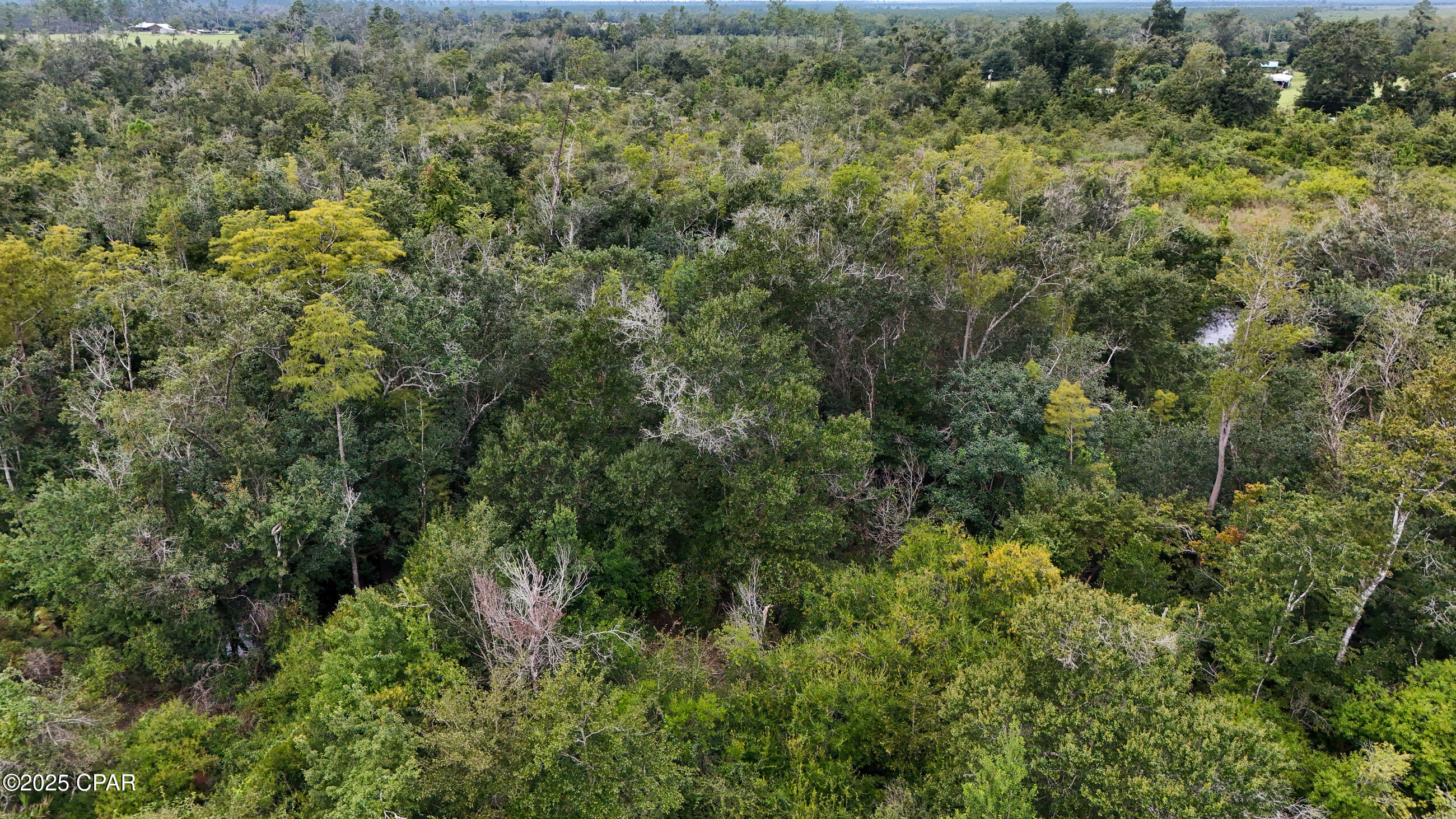 0 Jarrott Daniels Road Wewahitchka FL 32465