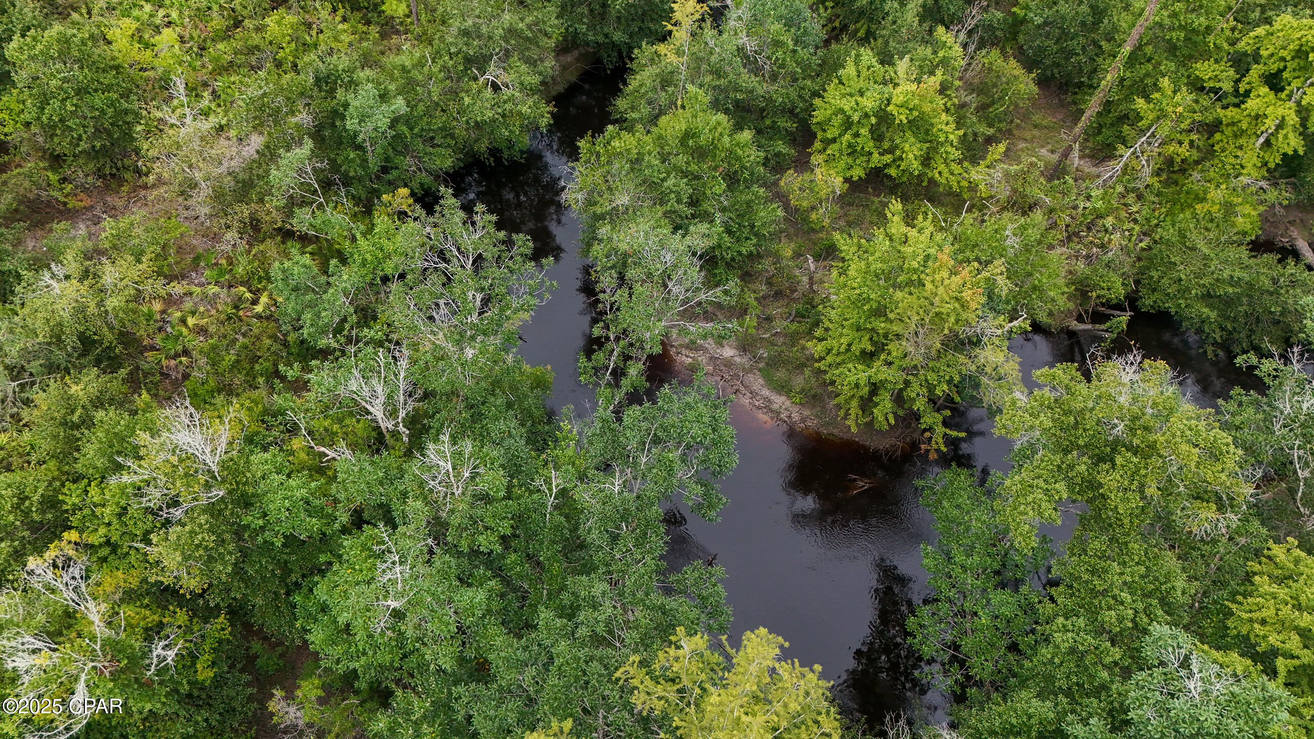 0 Jarrott Daniels Road Wewahitchka FL 32465