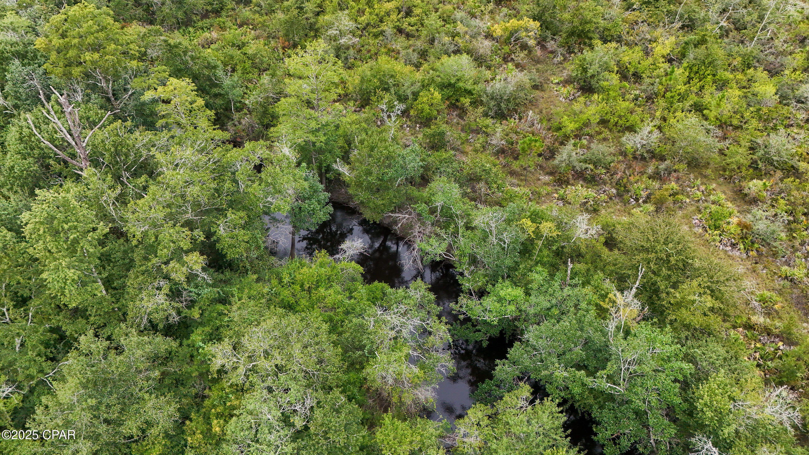 0 Jarrott Daniels Road Wewahitchka FL 32465