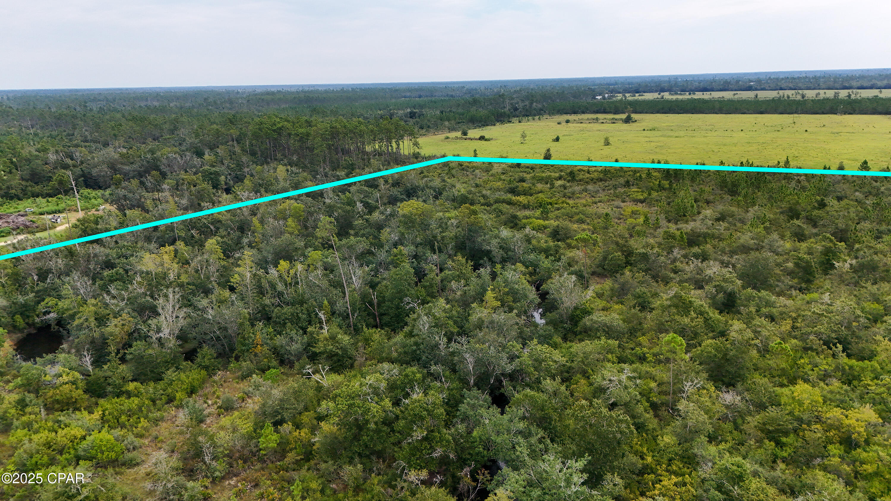 0 Jarrott Daniels Road Wewahitchka FL 32465