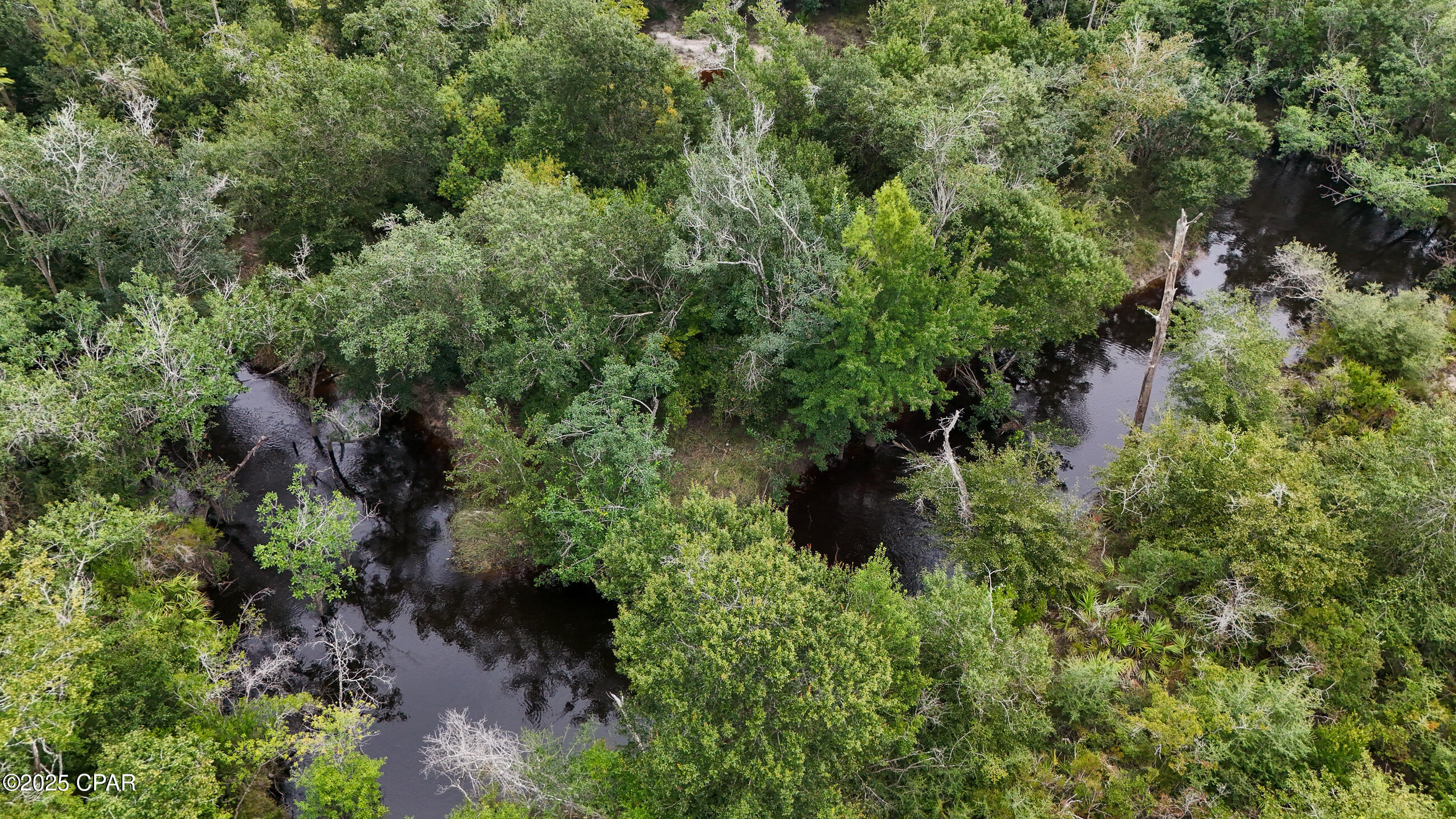 0 Jarrott Daniels Road Wewahitchka FL 32465
