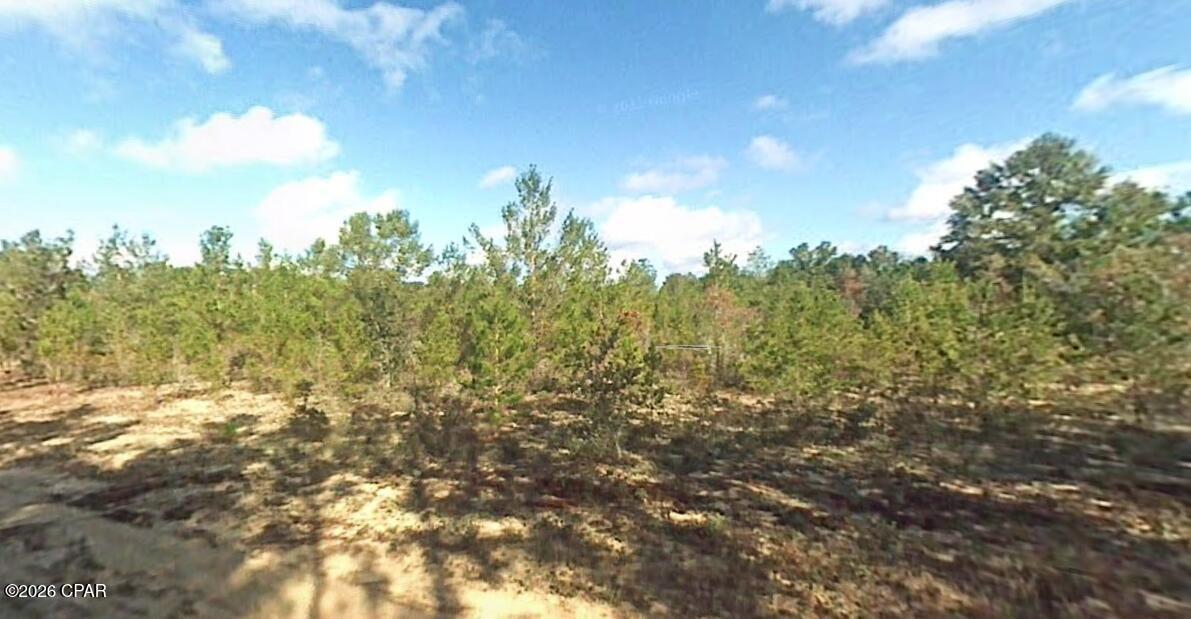 9541 Owenwood Road Fountain FL 32438