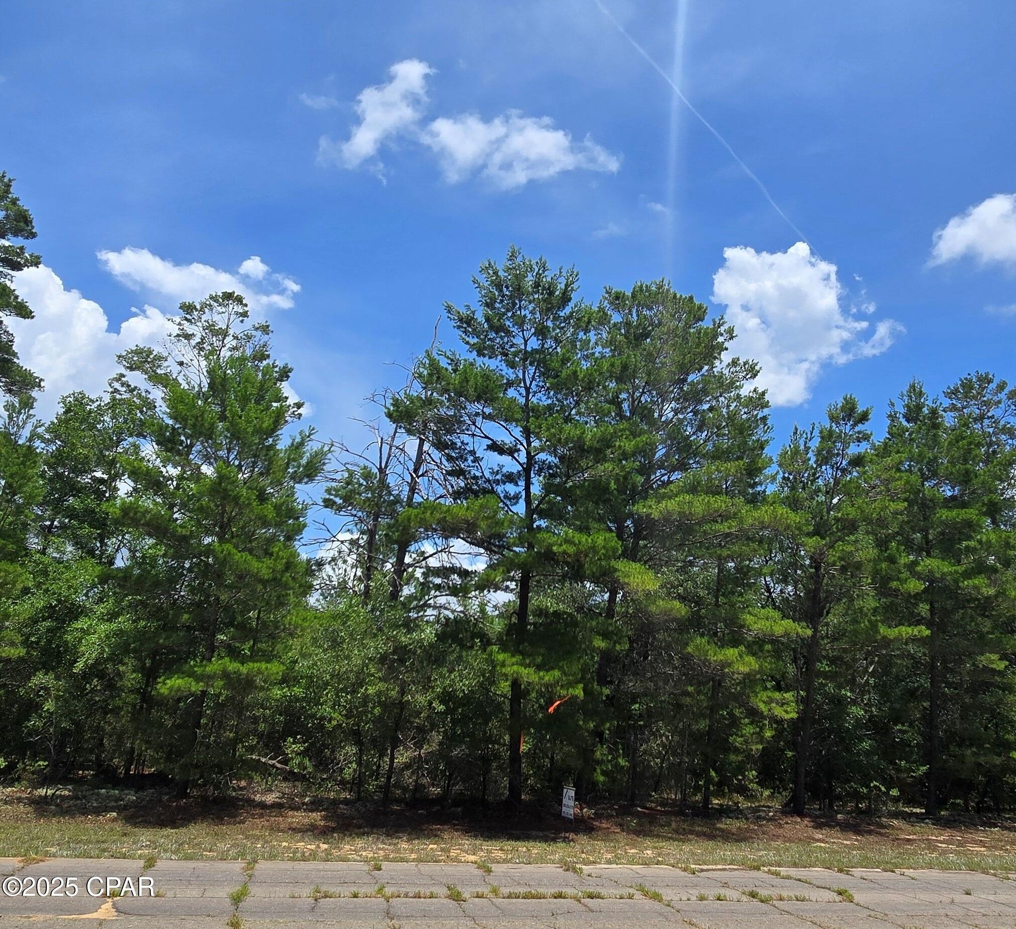Lot 7 Jamaica Circle Chipley FL 32428