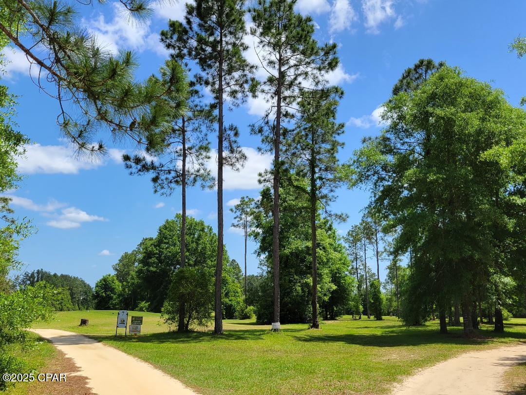 Lot 7 Jamaica Circle Chipley FL 32428