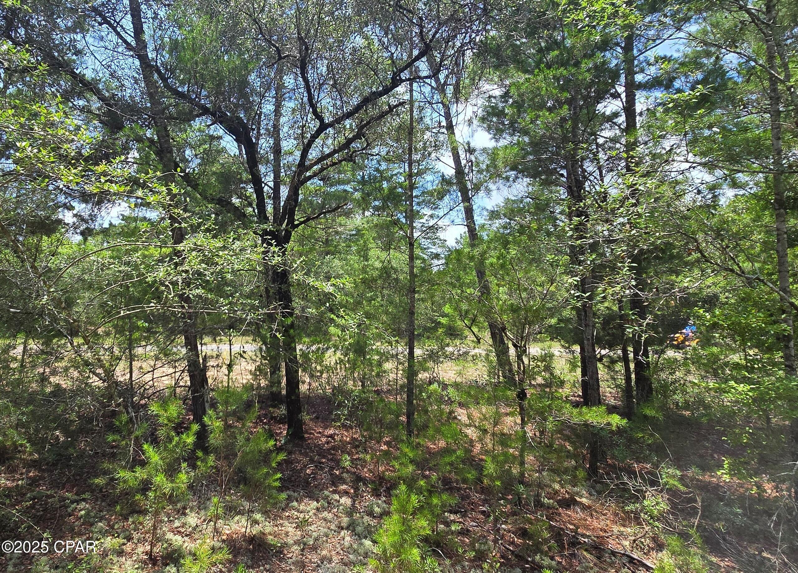 Lot 7 Jamaica Circle Chipley FL 32428