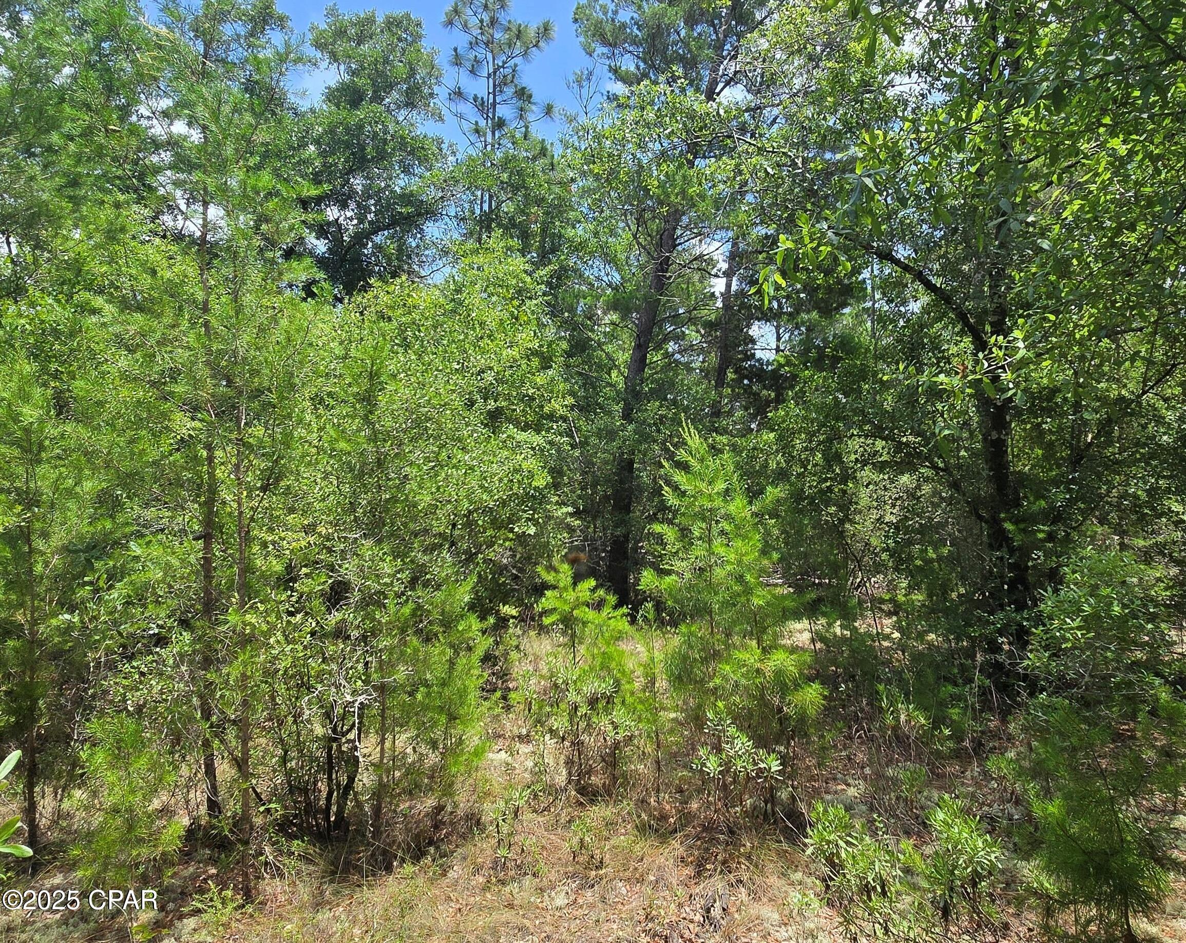 Lot 7 Jamaica Circle Chipley FL 32428