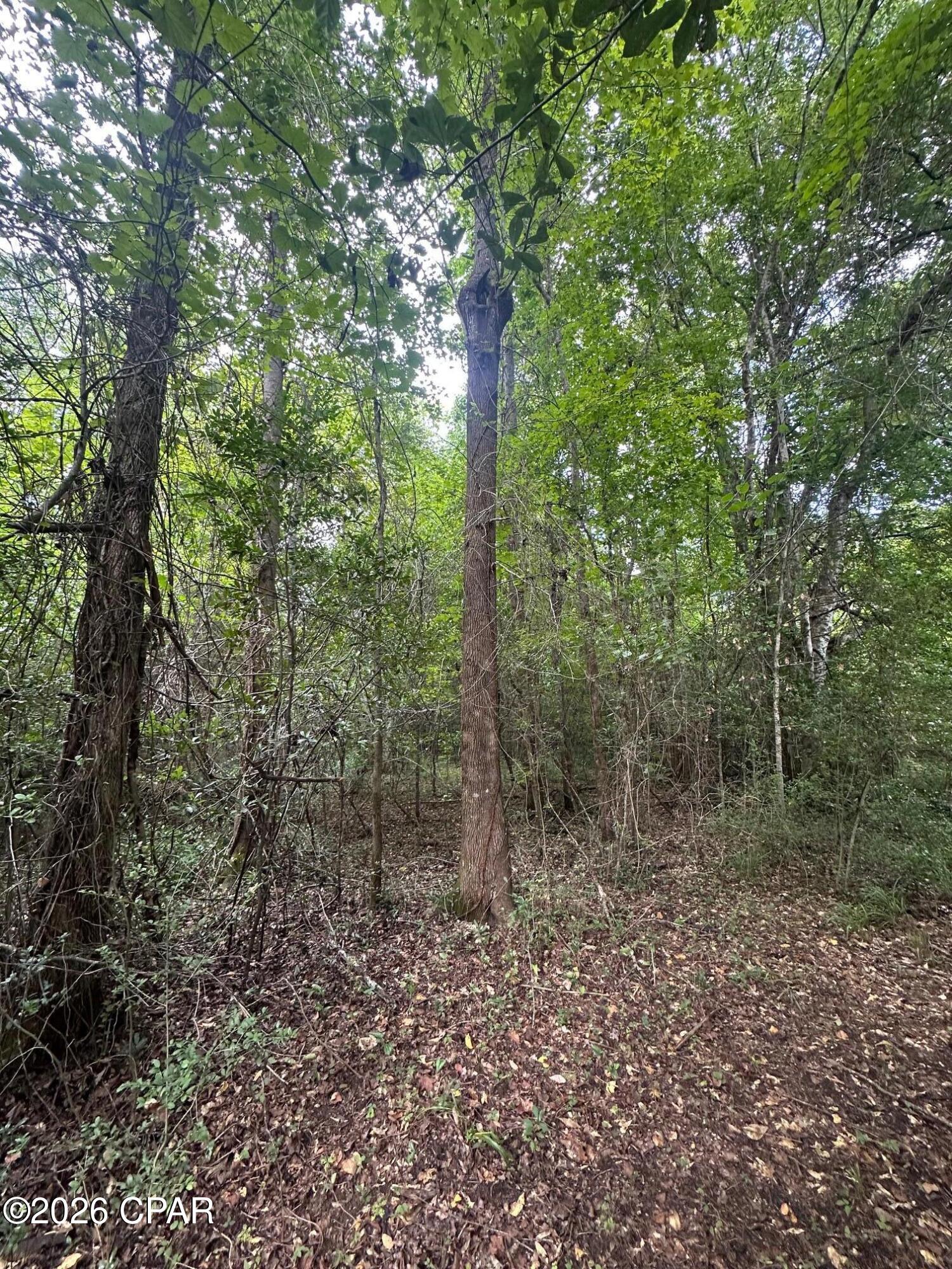 0 Poplar Springs Road Marianna FL 32446