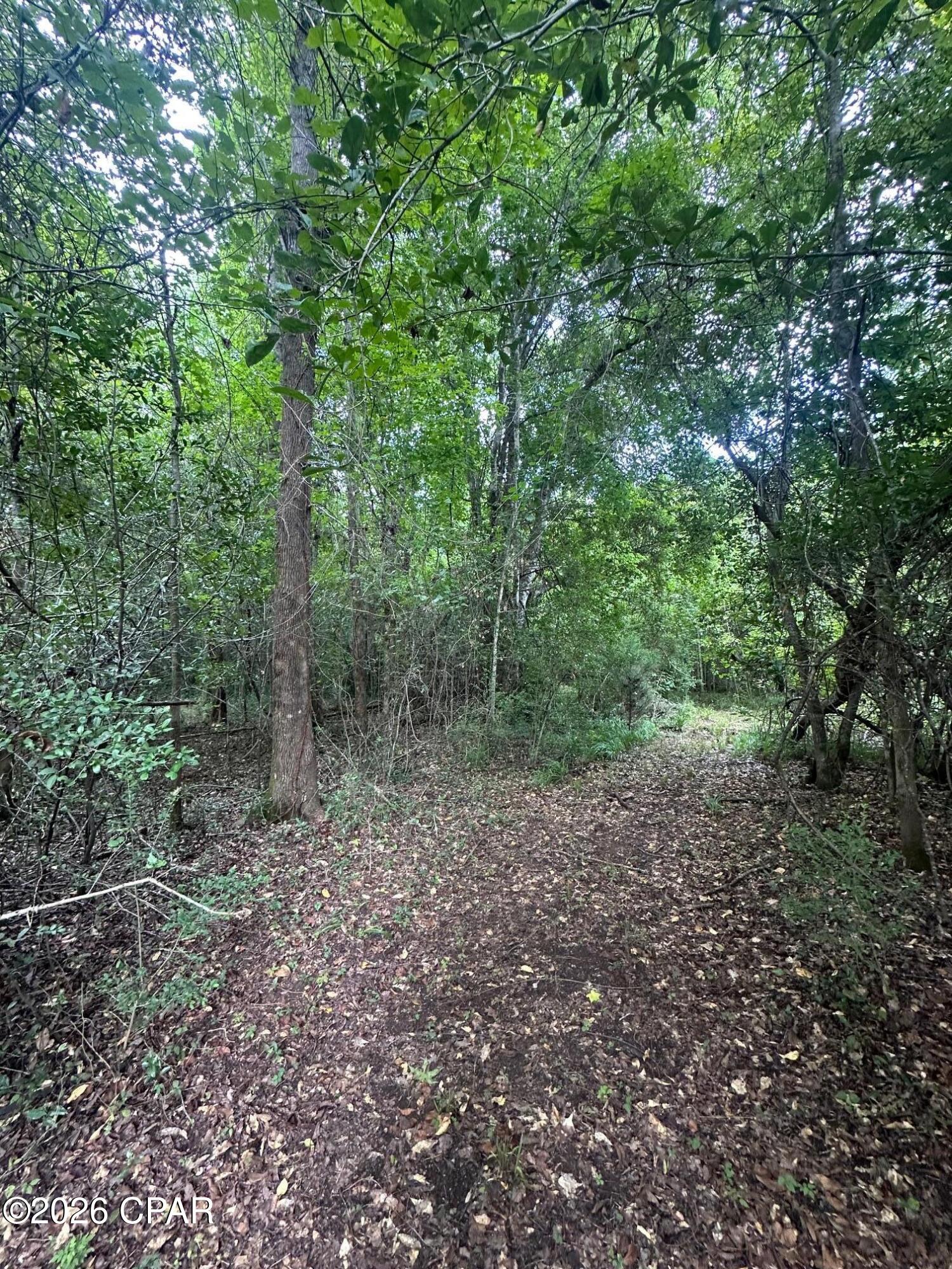 0 Poplar Springs Road Marianna FL 32446