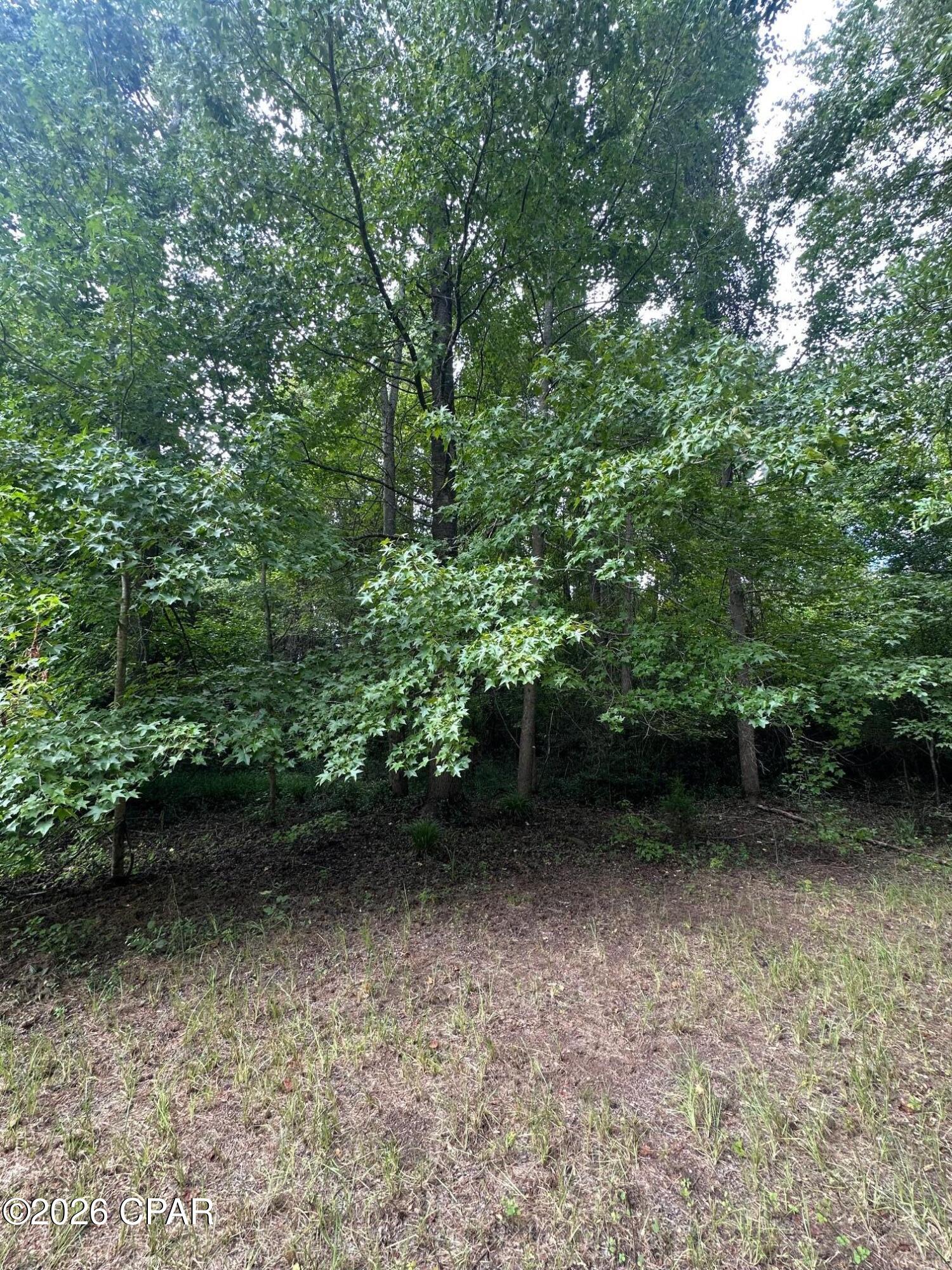0 Poplar Springs Road Marianna FL 32446