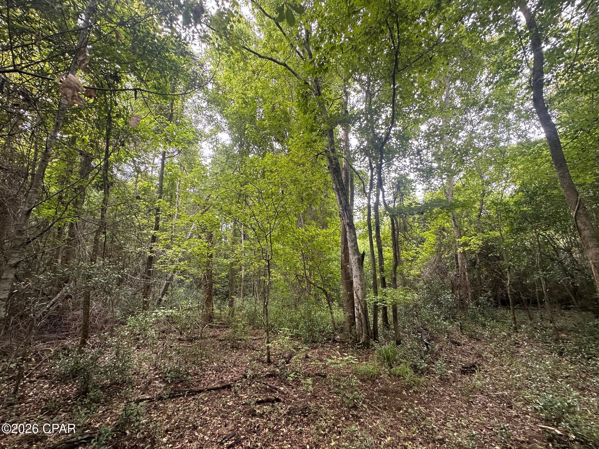 0 Poplar Springs Road Marianna FL 32446