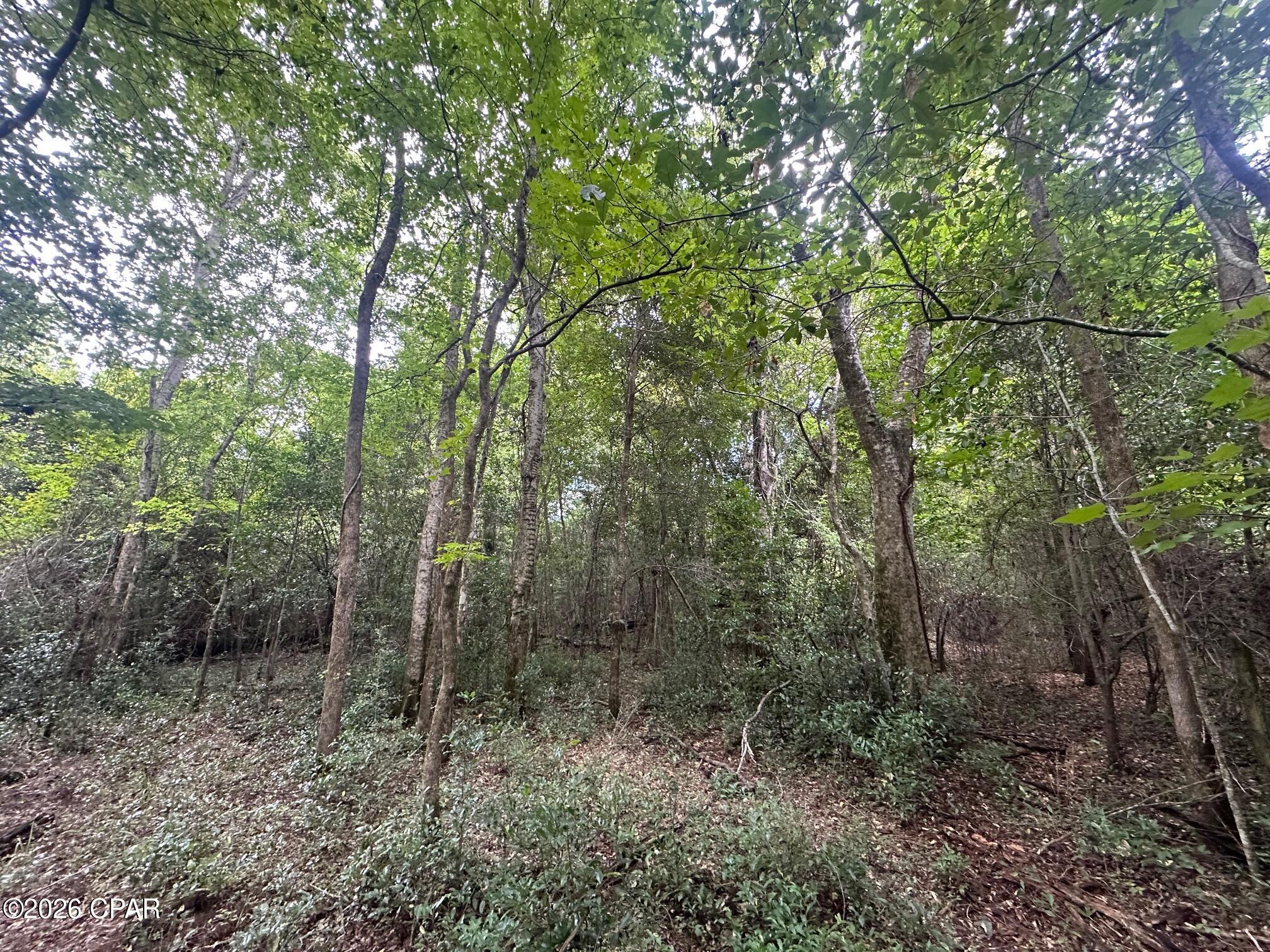 0 Poplar Springs Road Marianna FL 32446