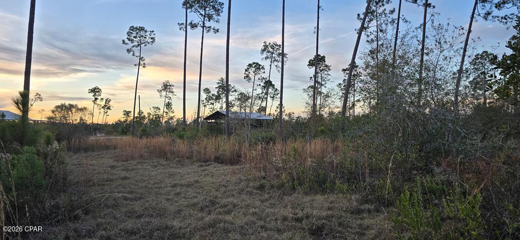 9641 Cr 386 Wewahitchka FL 32465