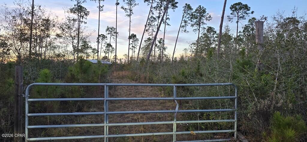 9641 Cr 386 Wewahitchka FL 32465