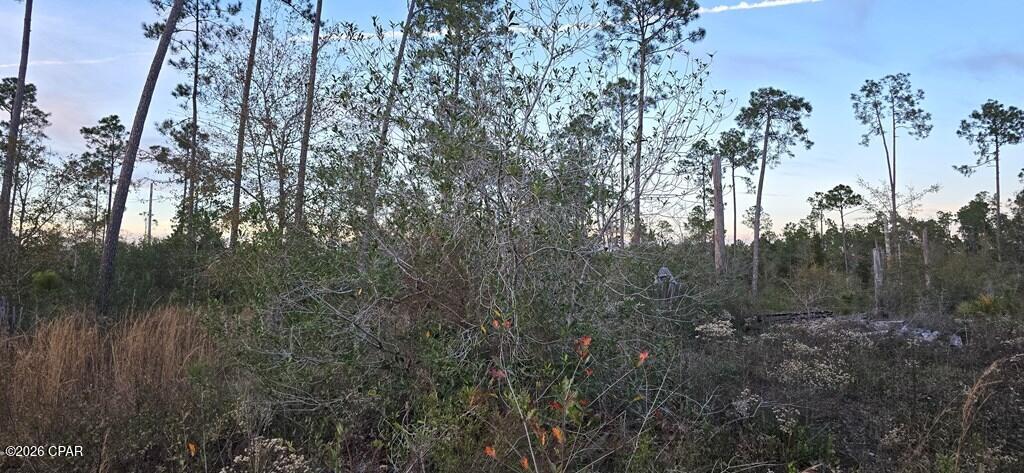 9641 Cr 386 Wewahitchka FL 32465