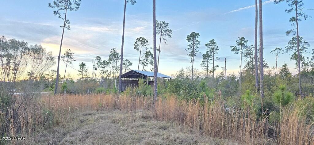 9641 Cr 386 Wewahitchka FL 32465