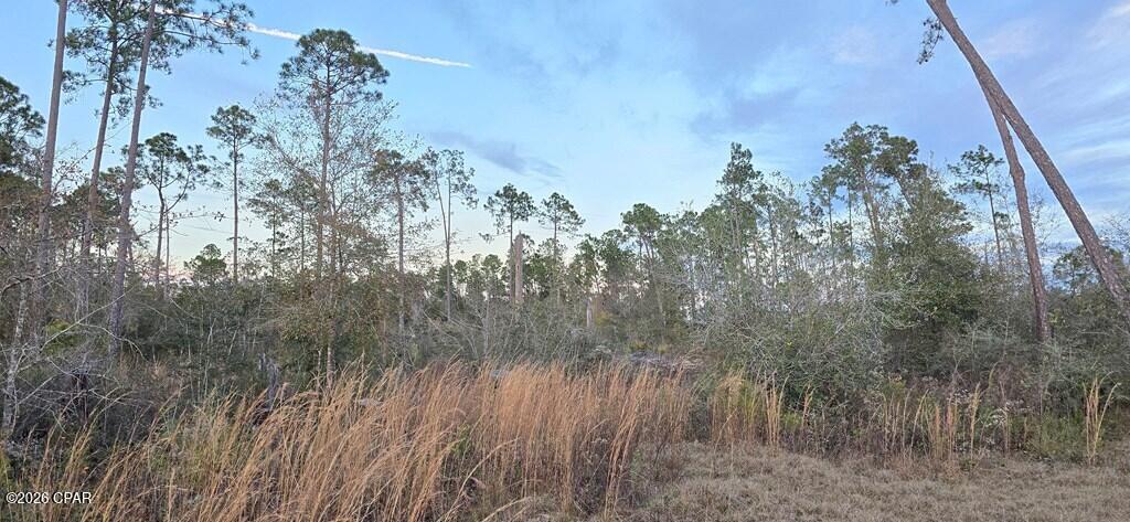 9641 Cr 386 Wewahitchka FL 32465