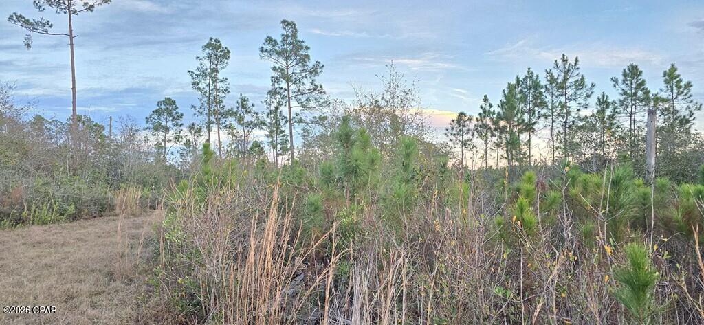 9641 Cr 386 Wewahitchka FL 32465