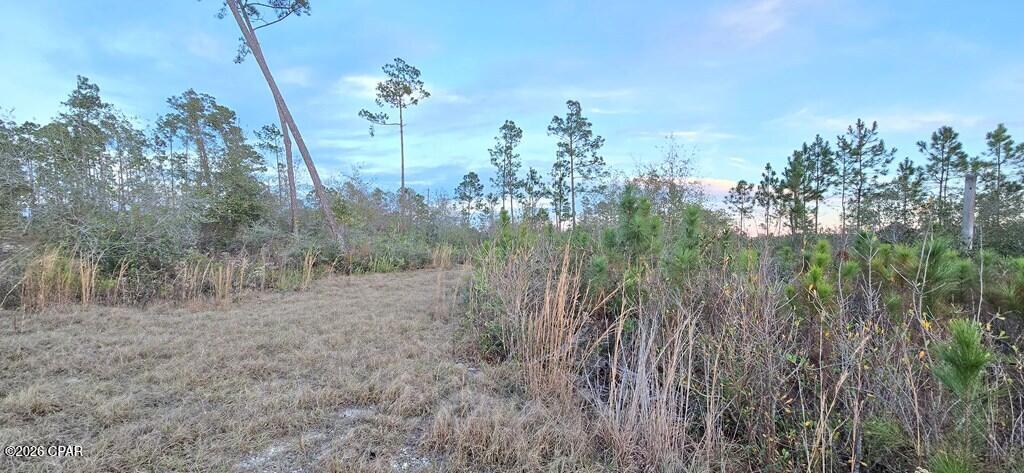 9641 Cr 386 Wewahitchka FL 32465