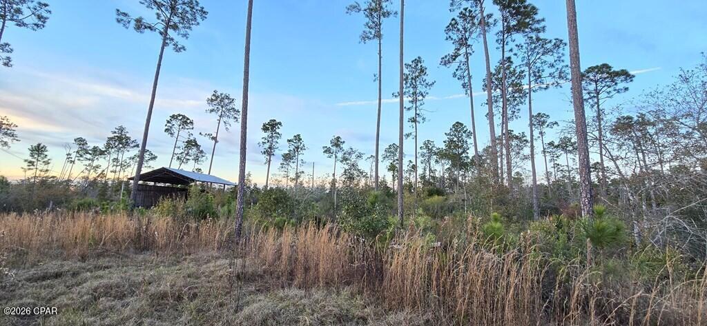 9641 Cr 386 Wewahitchka FL 32465