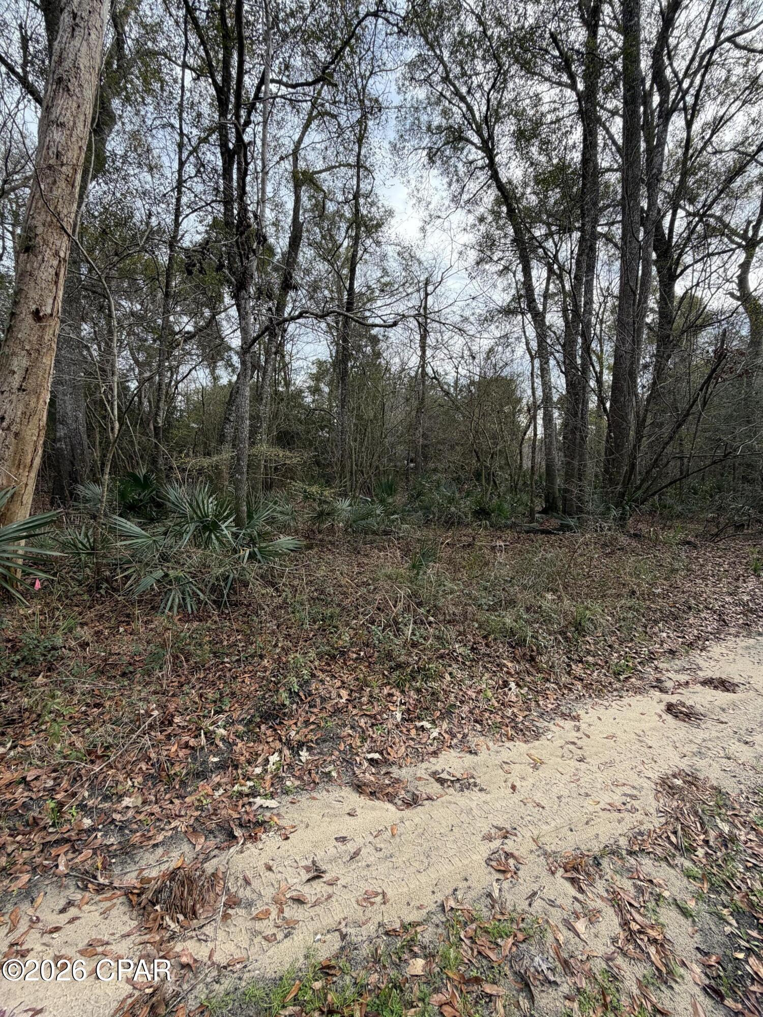 0 Big Cedaroad Ponce De Leon FL 32455