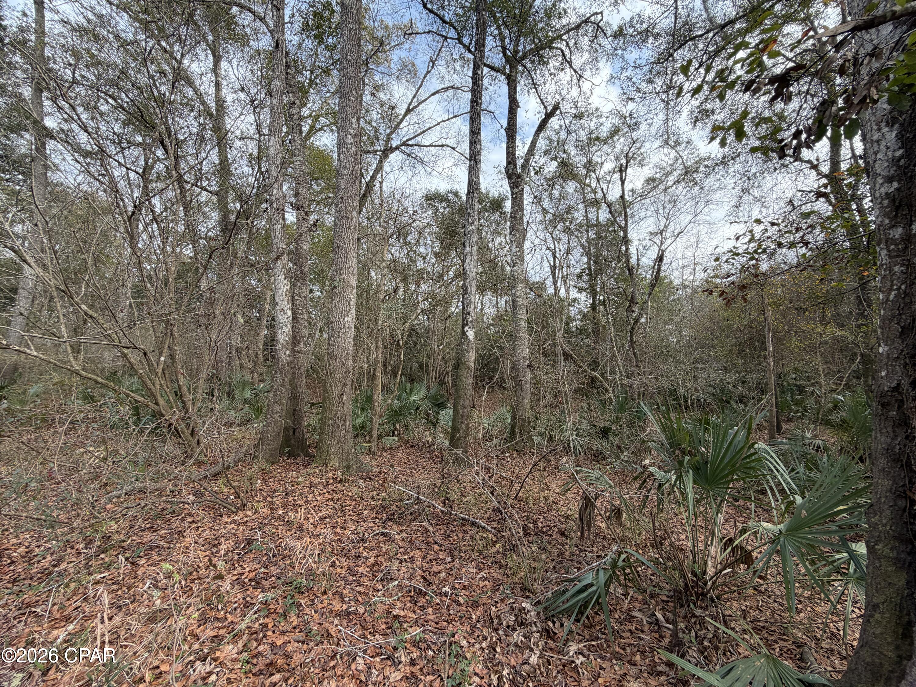 0 Big Cedaroad Ponce De Leon FL 32455