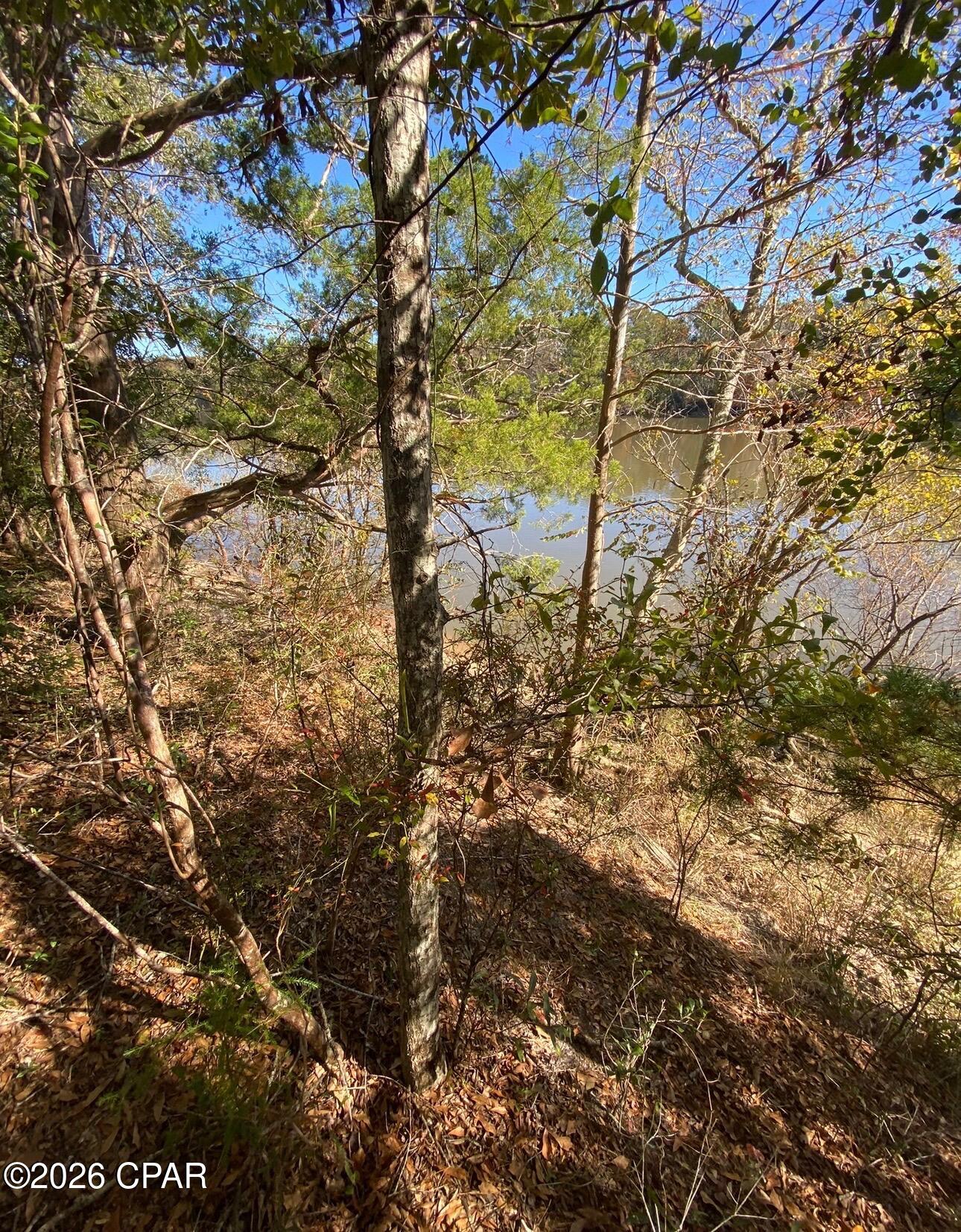 0 Big Cedaroad Ponce De Leon FL 32455